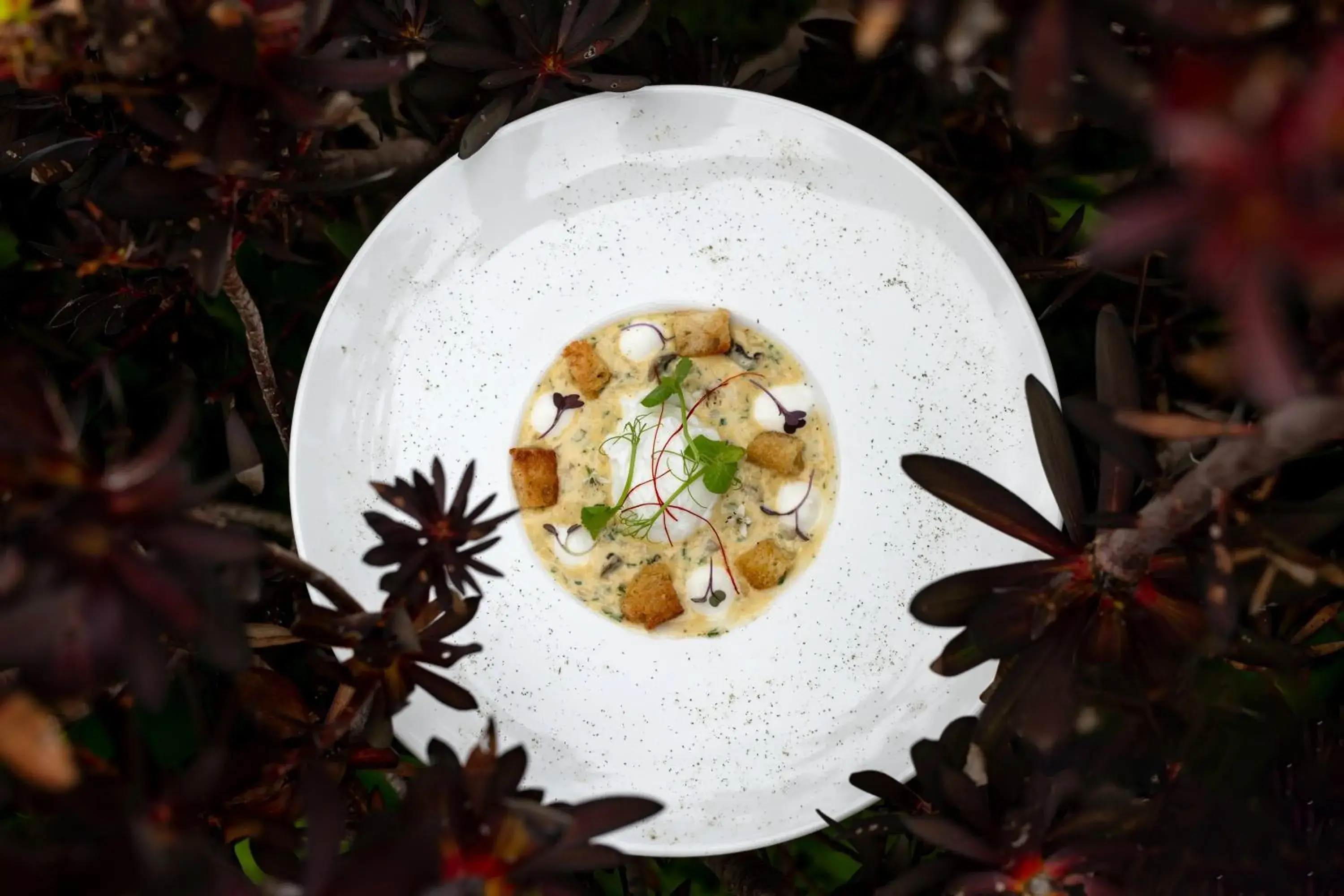 Food in The Marine Hermanus Food in The Marine Hermanus