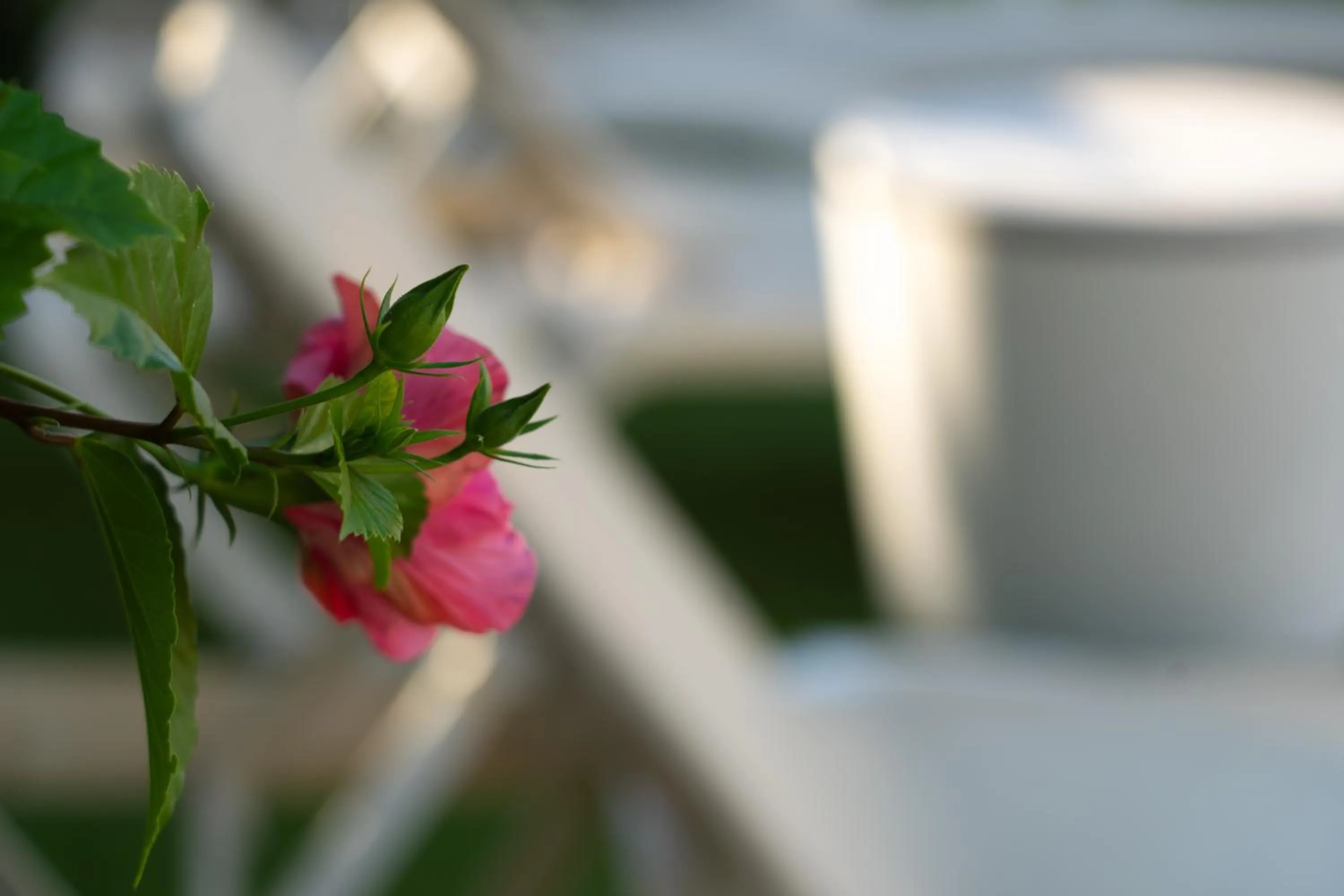 Off site in Hotel Novomar