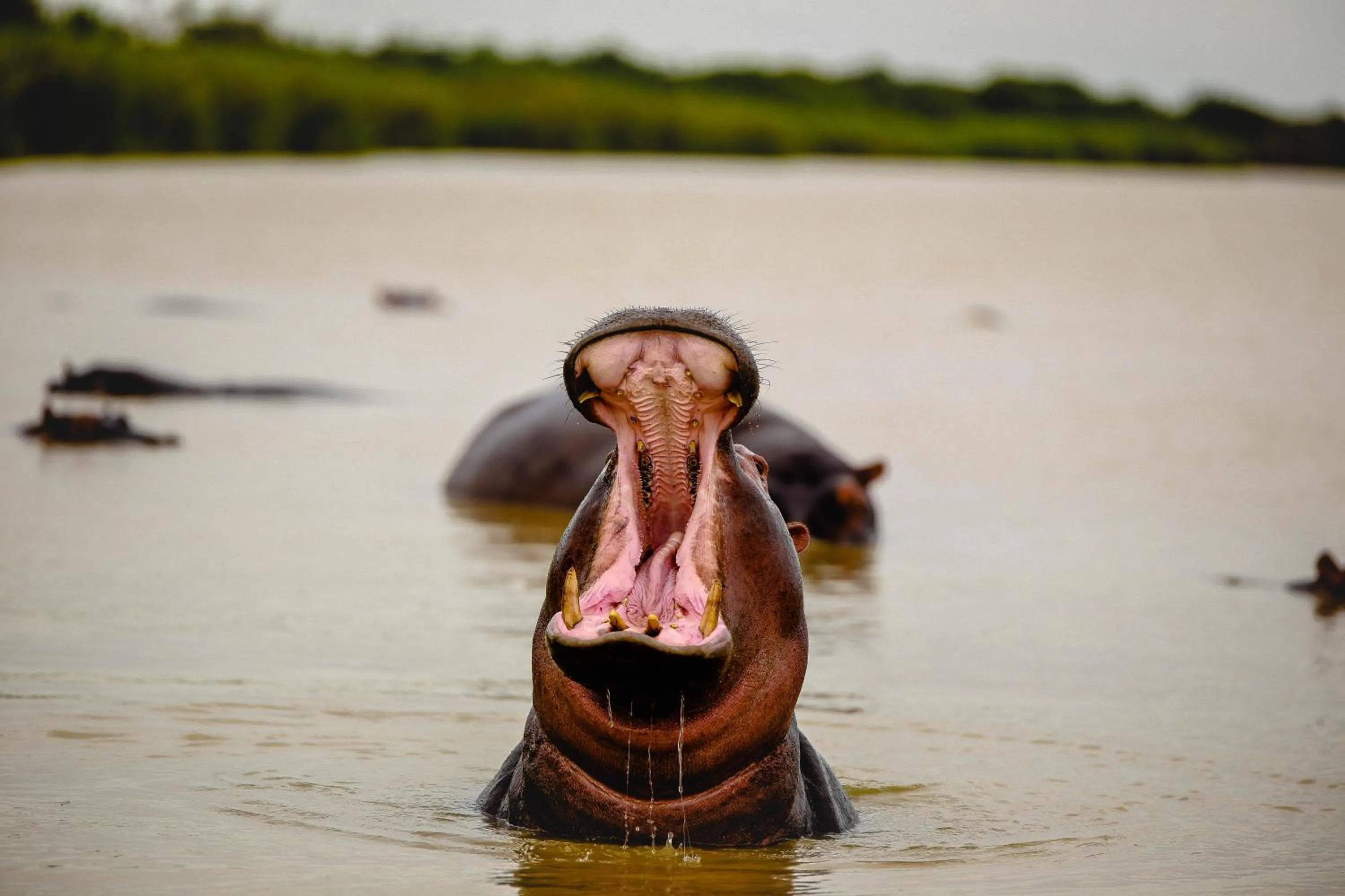 Activities in At Heritage House