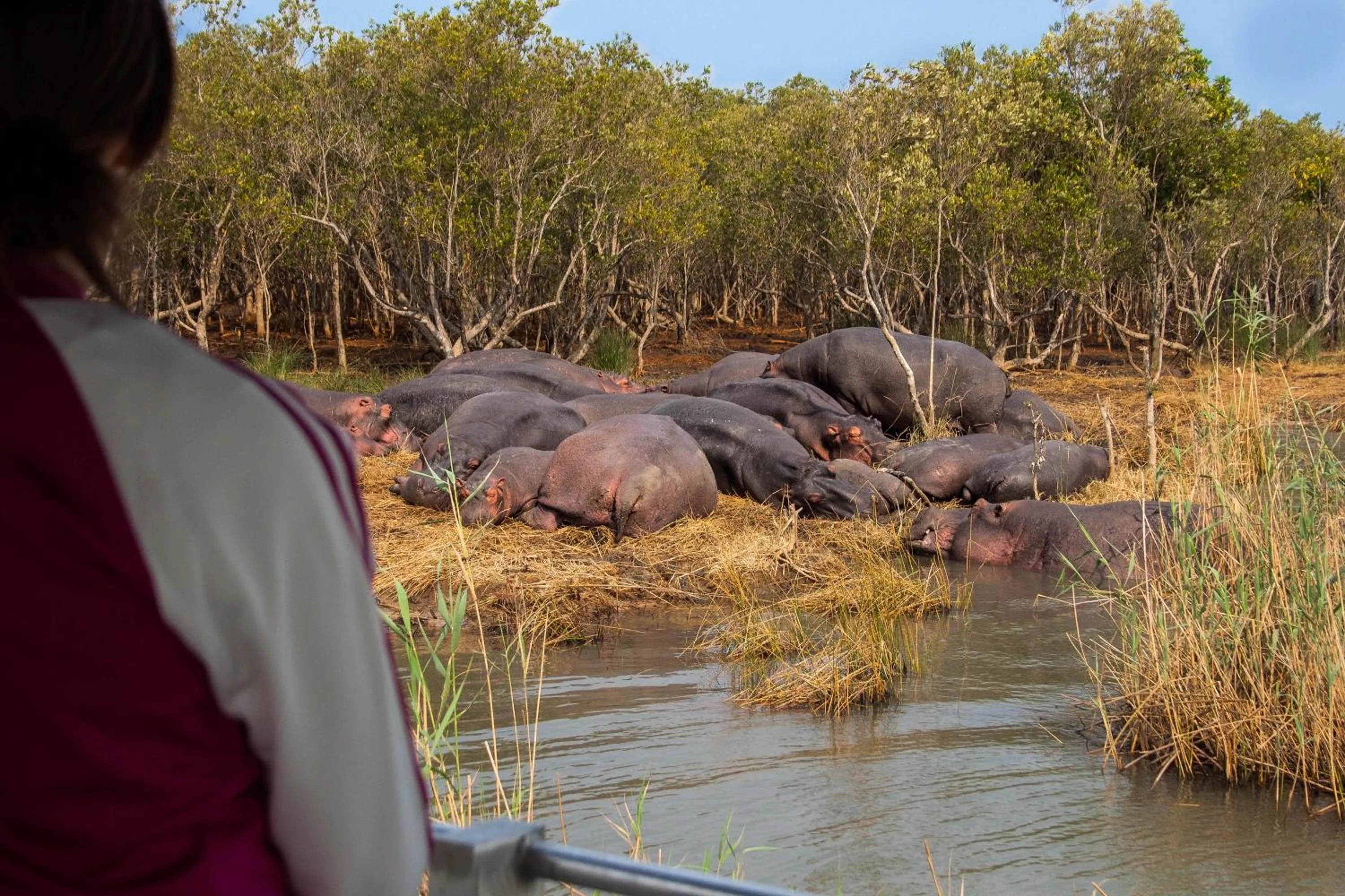 Nearby landmark in At Heritage House