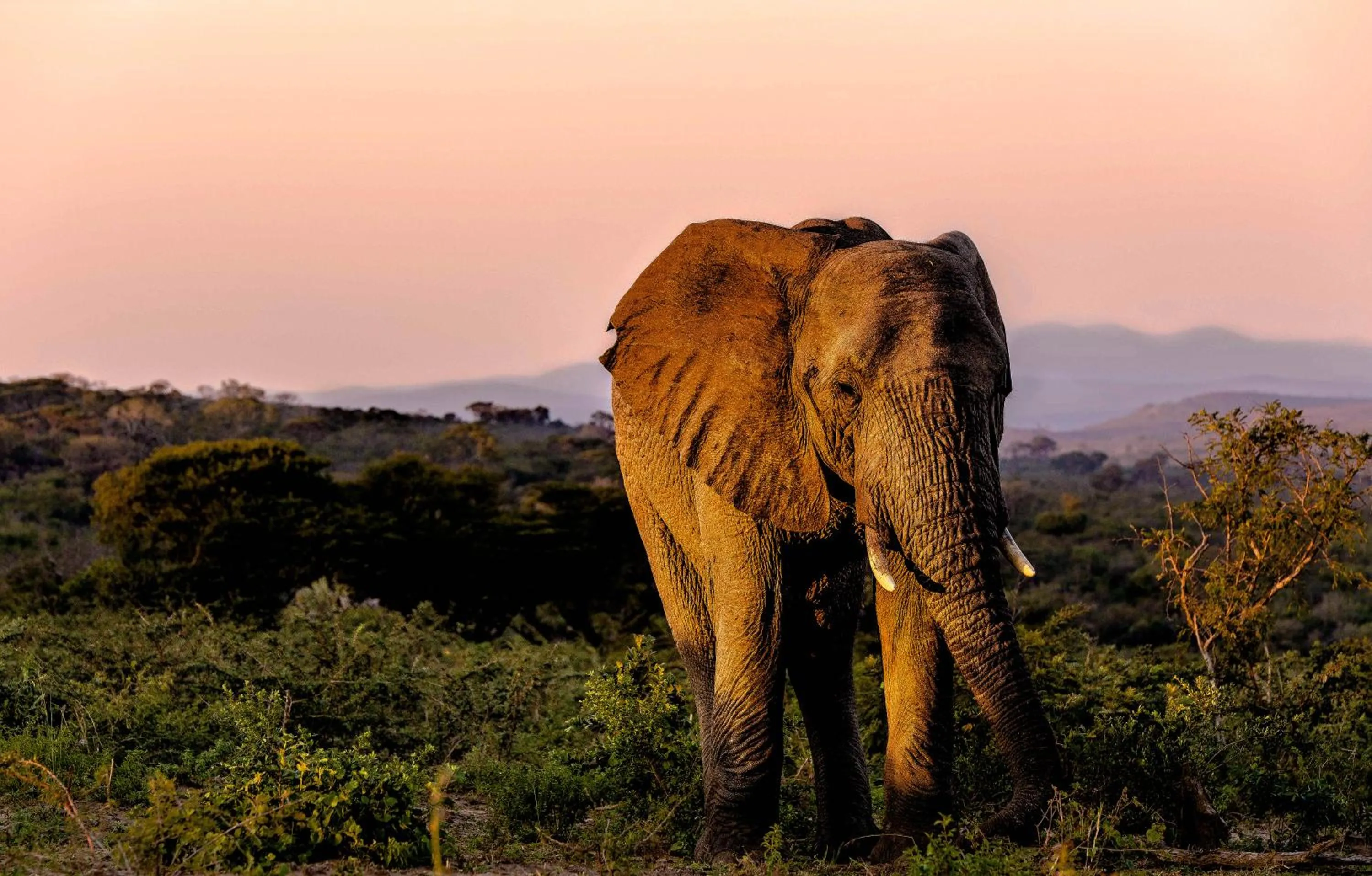 Off site in At Heritage House