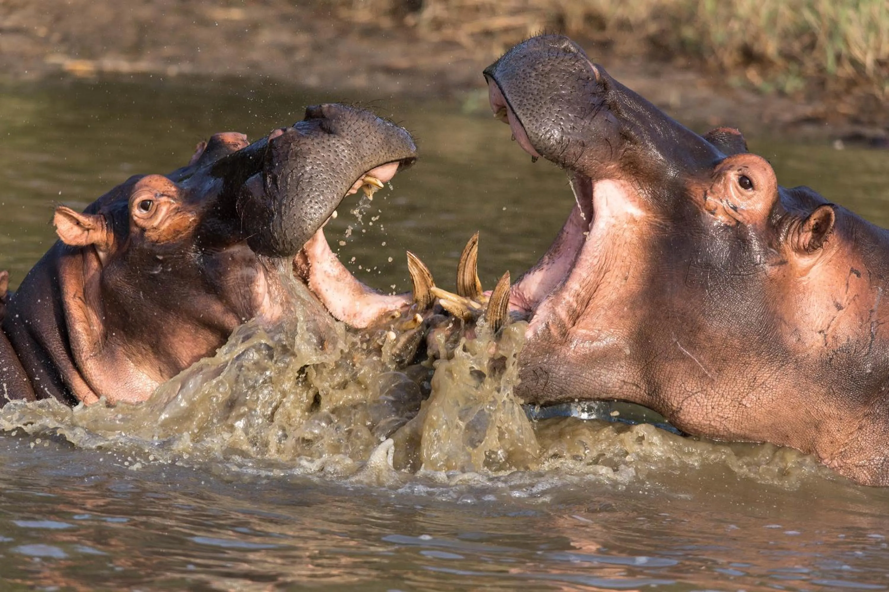 Off site in At Heritage House