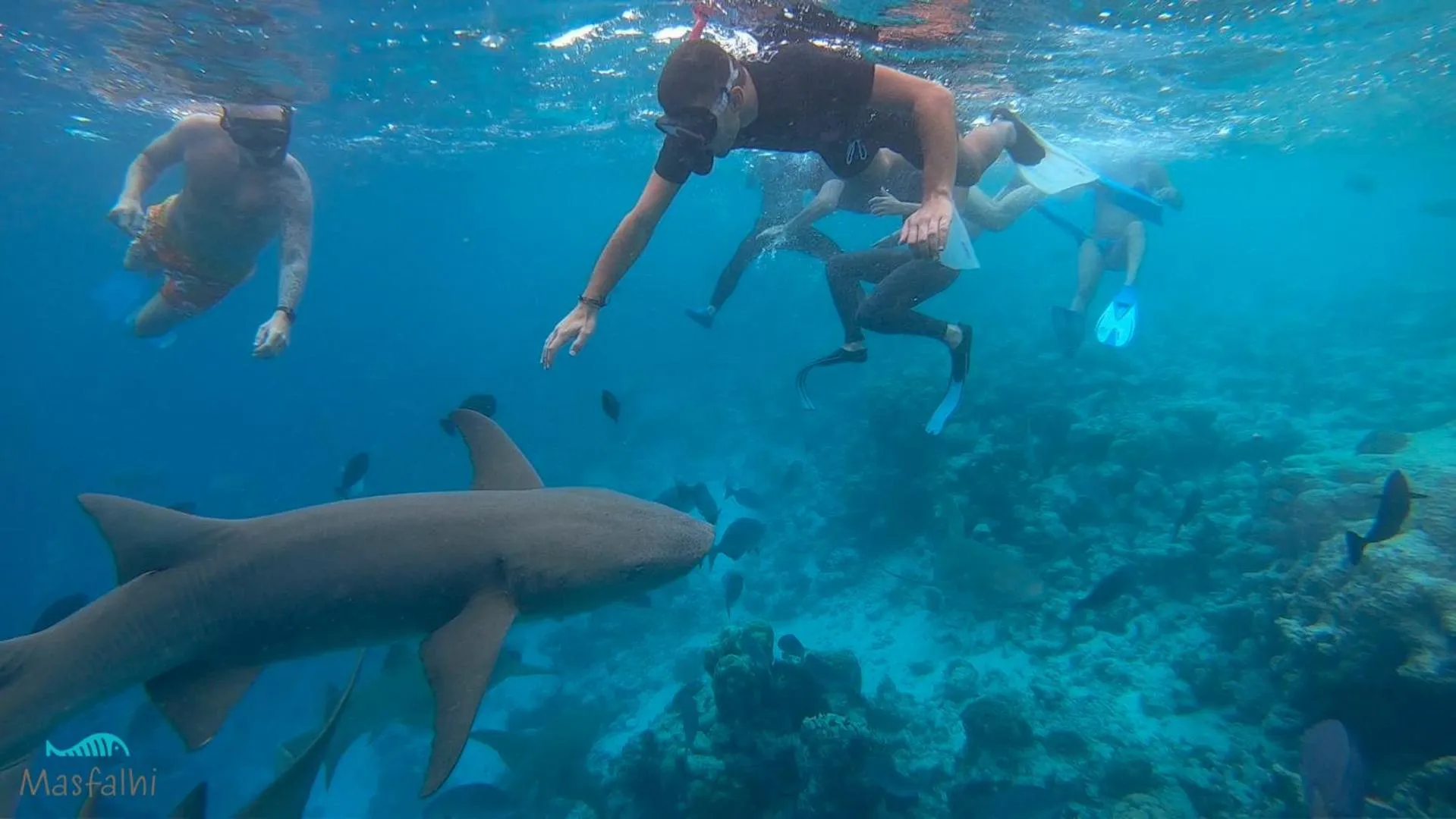 Activities in Masfalhi View Inn