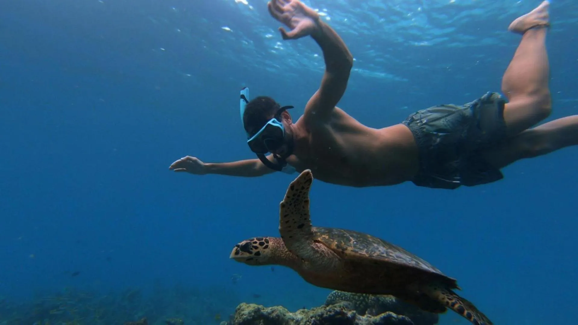 Activities in Masfalhi View Inn