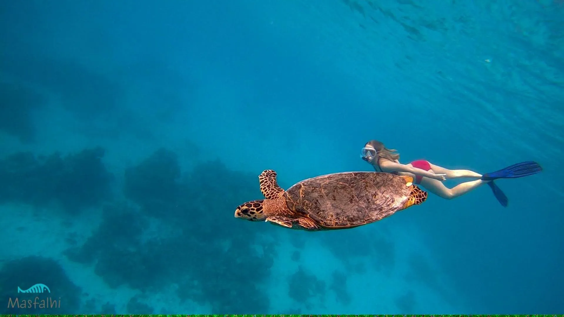 Location in Masfalhi View Inn