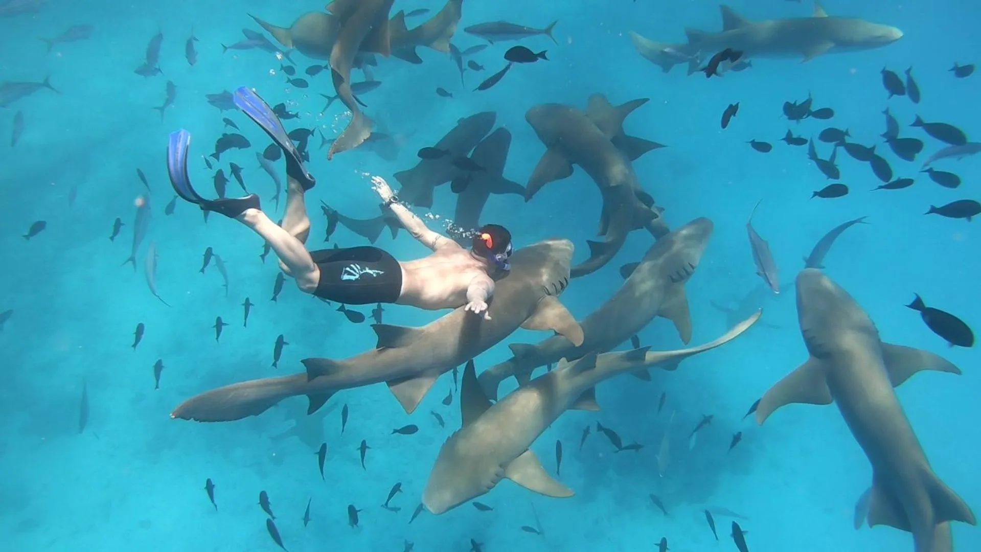 Activities in Masfalhi View Inn