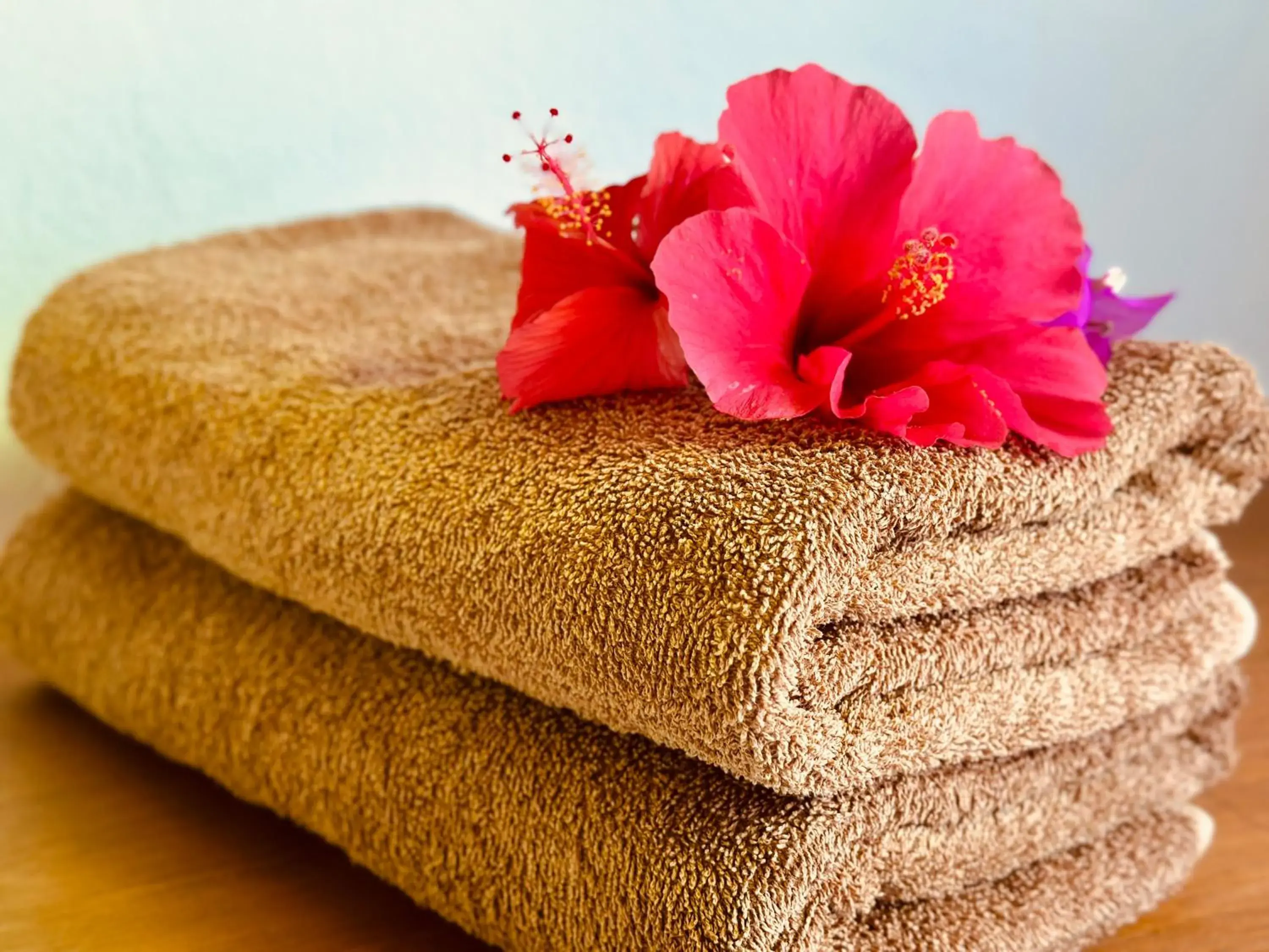 towels in Masfalhi View Inn towels in Masfalhi View Inn