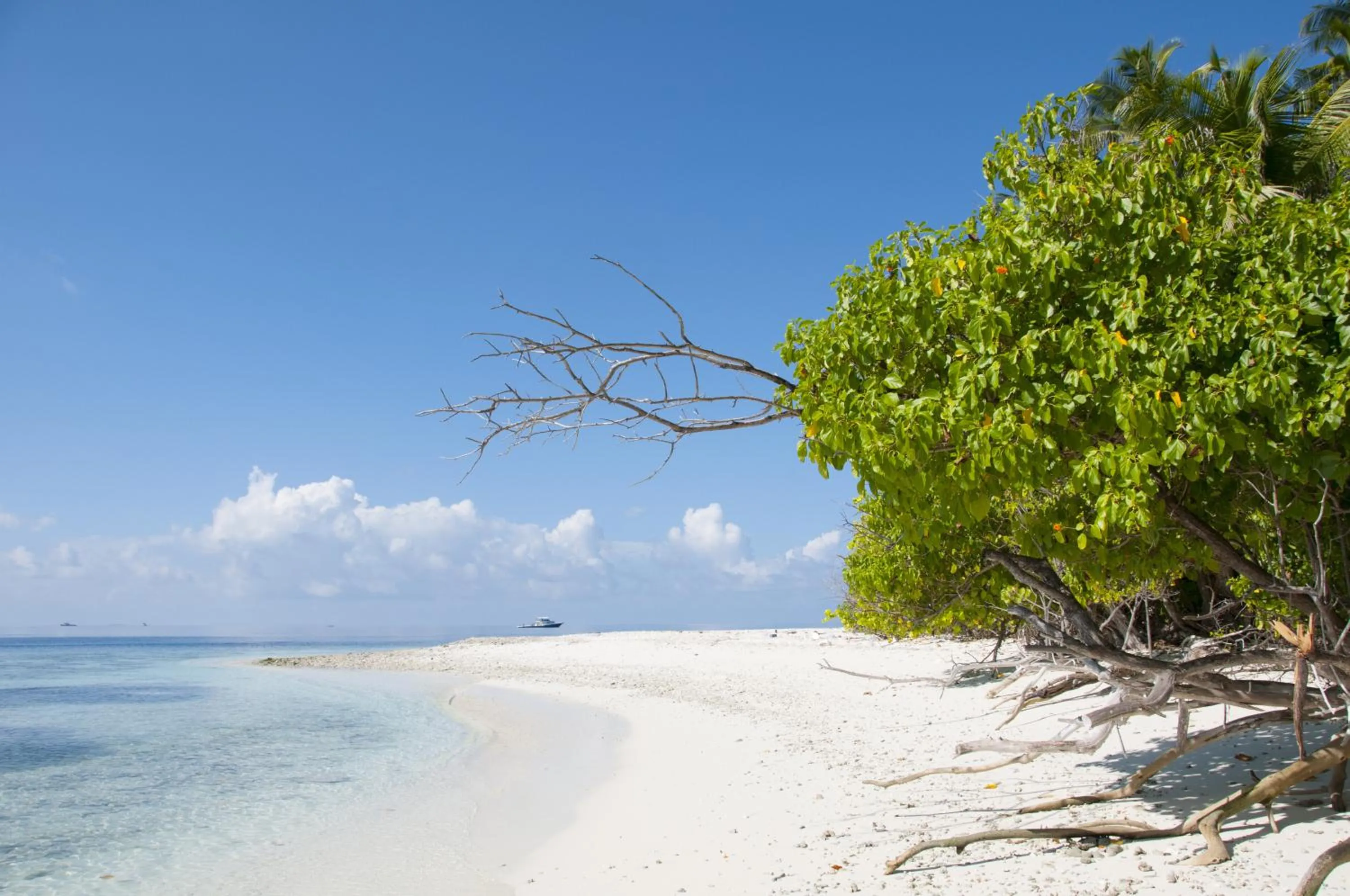 Beach in Masfalhi View Inn