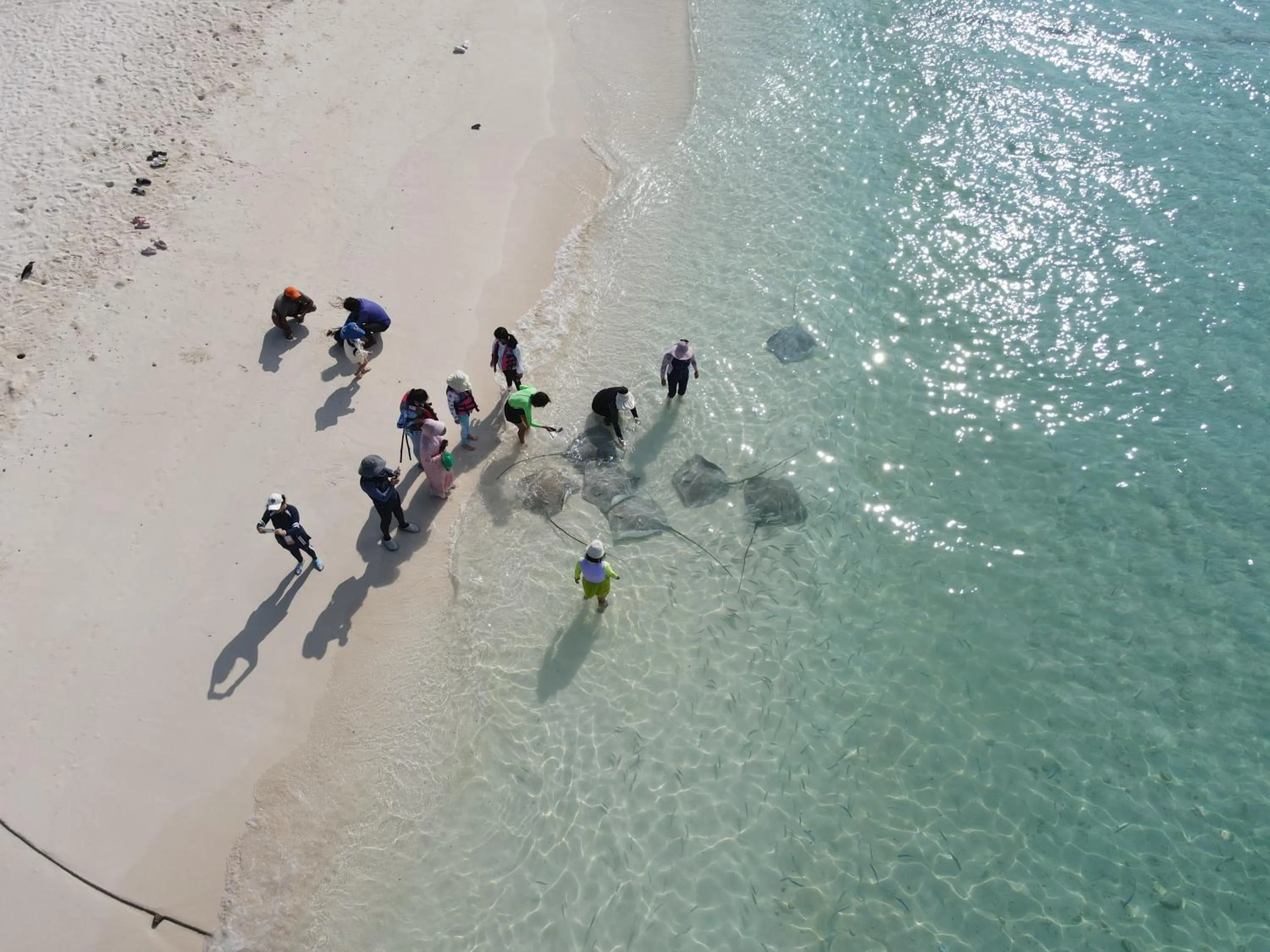 Activities in Masfalhi View Inn