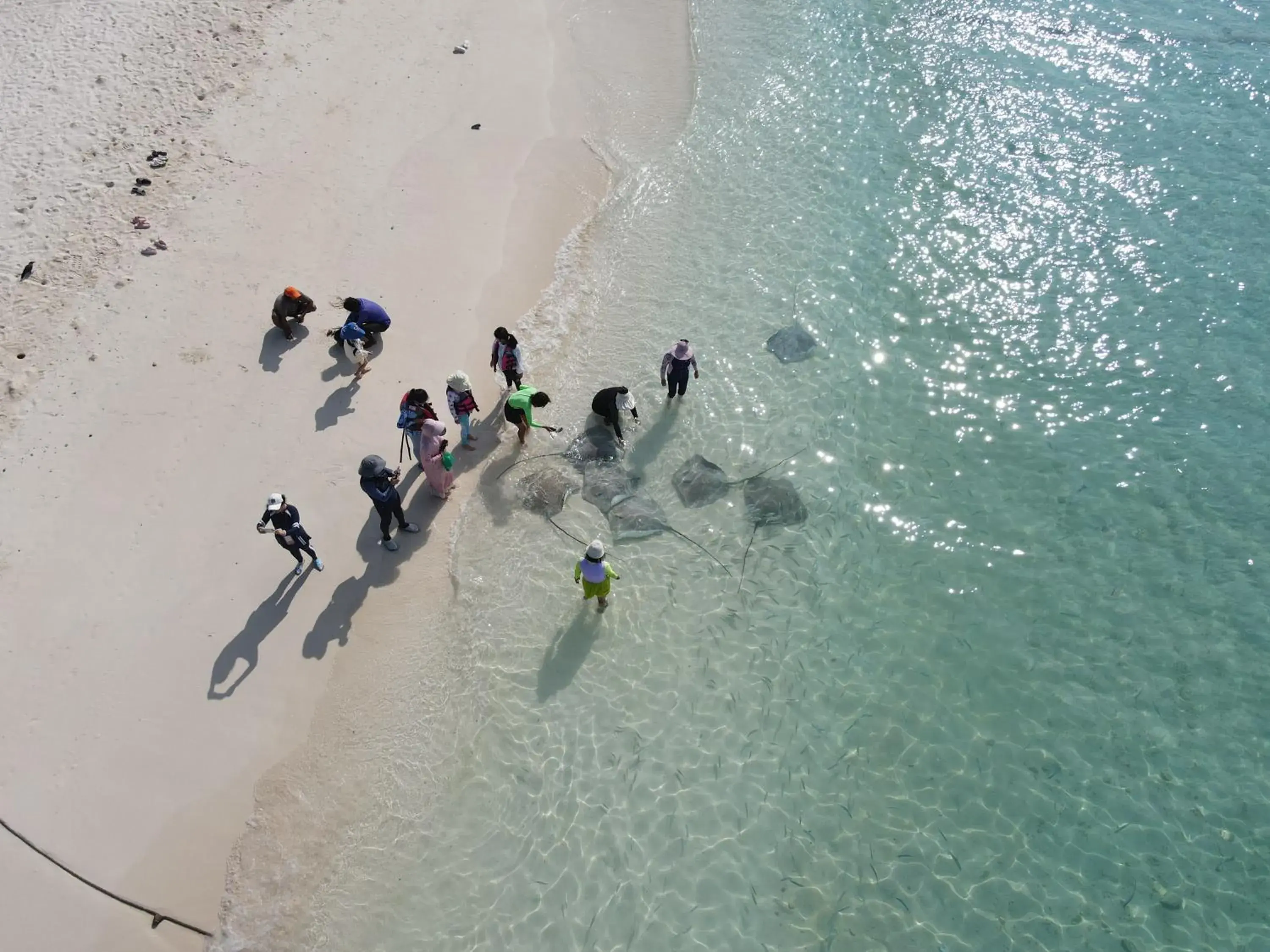 Activities in Masfalhi View Inn Activities in Masfalhi View Inn