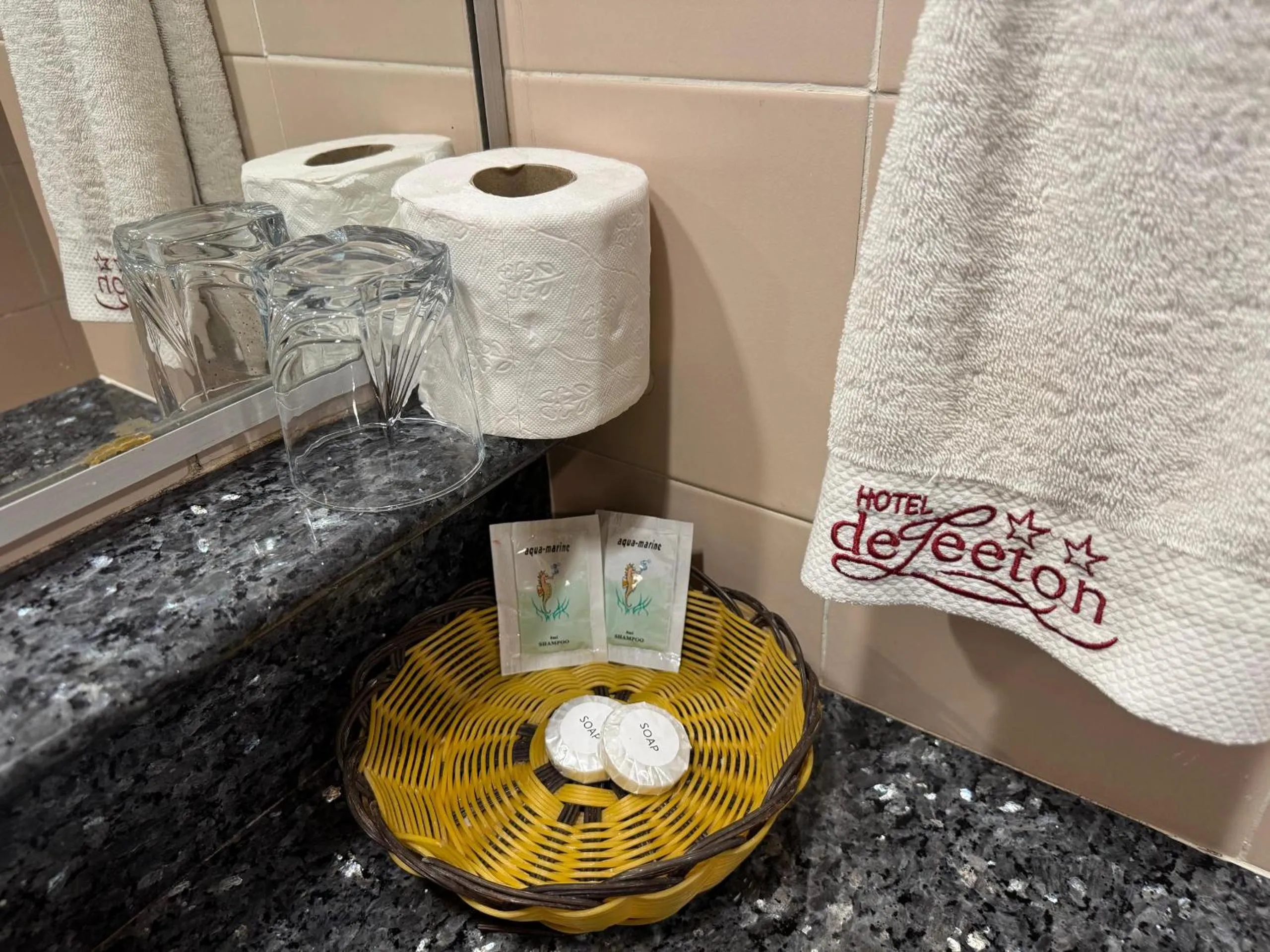 Bathroom in Hotel Deleeton