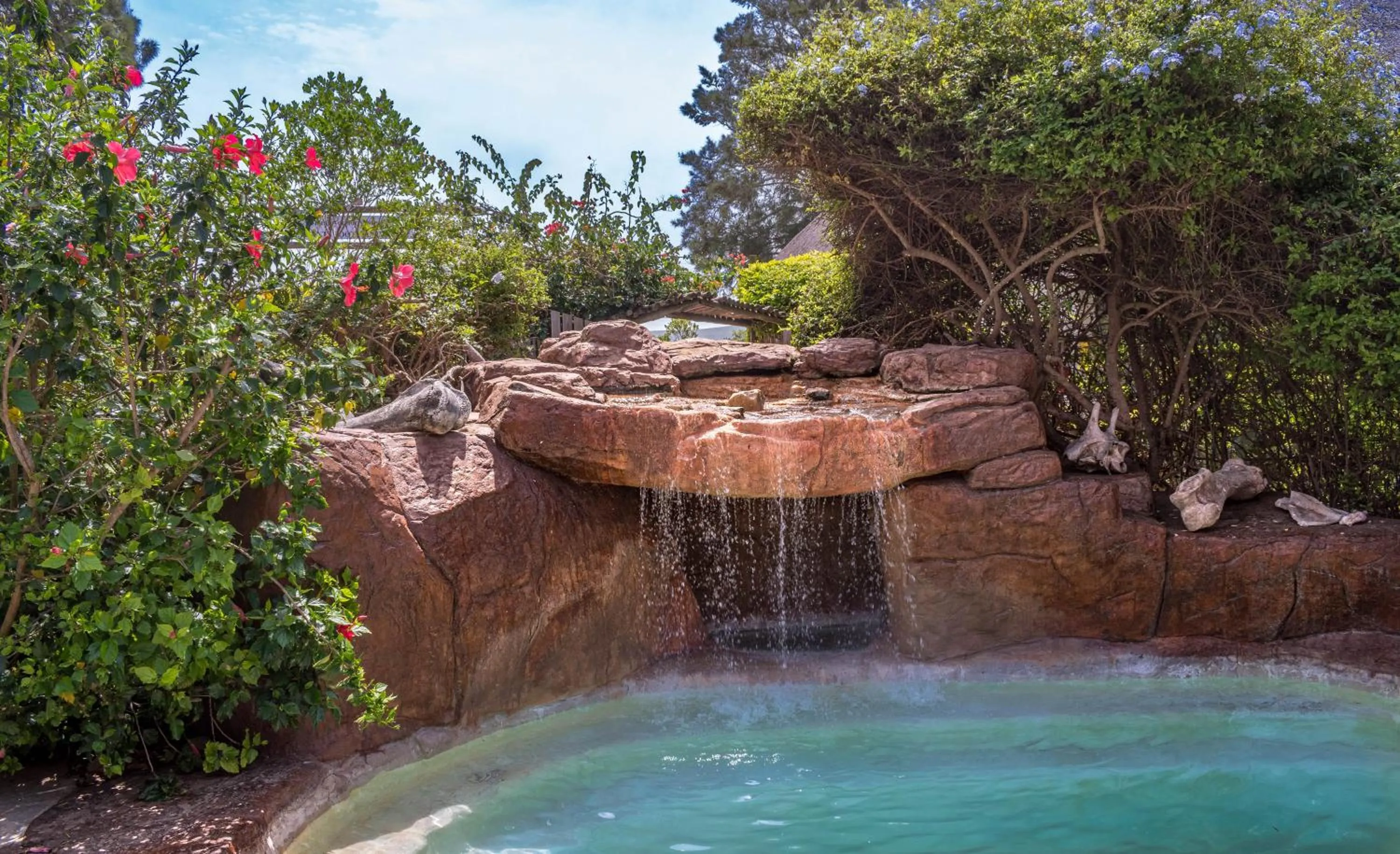 Pool view in Elephants Footprint Lodge
