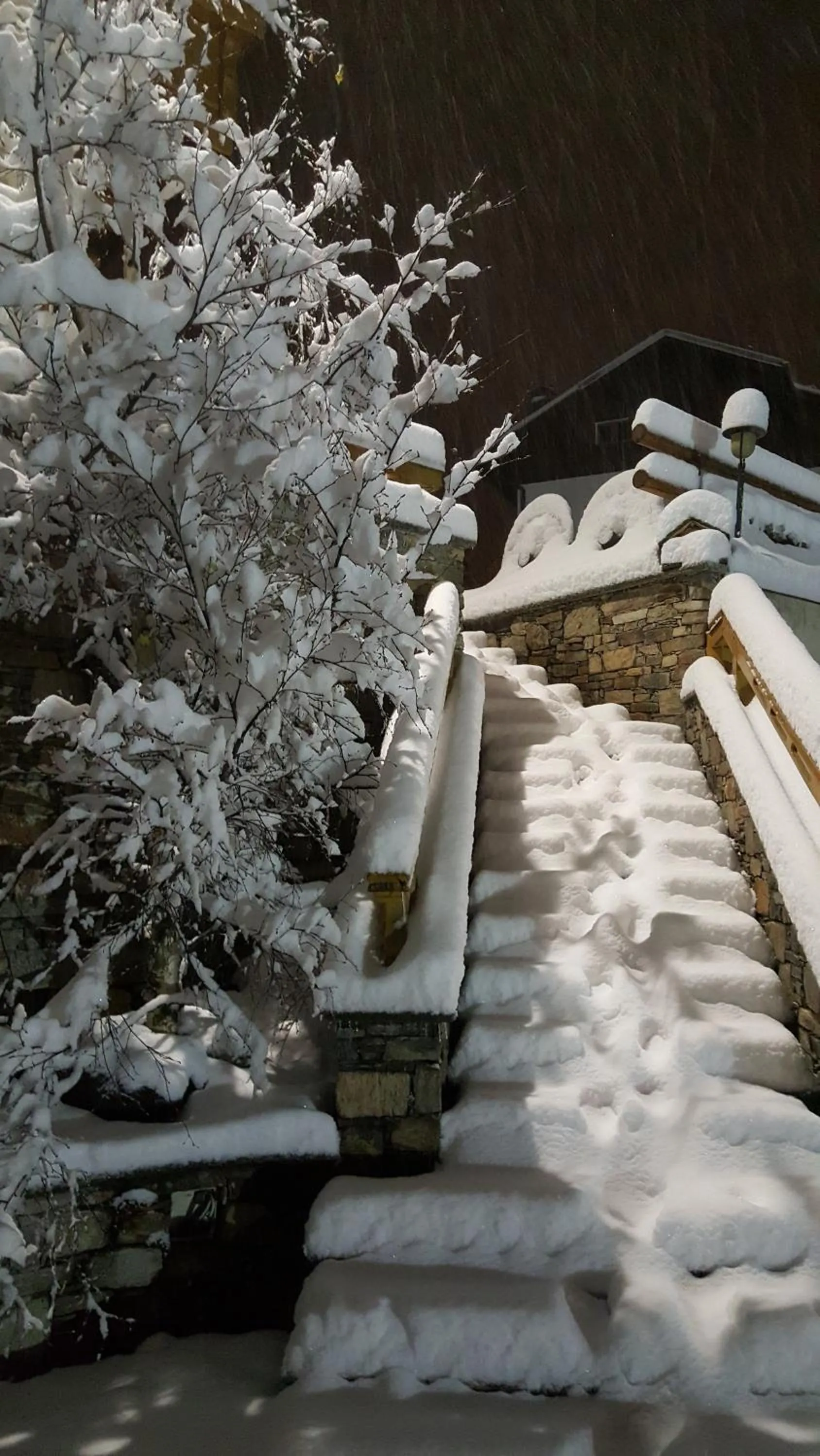 Winter in Hotel del Bosco
