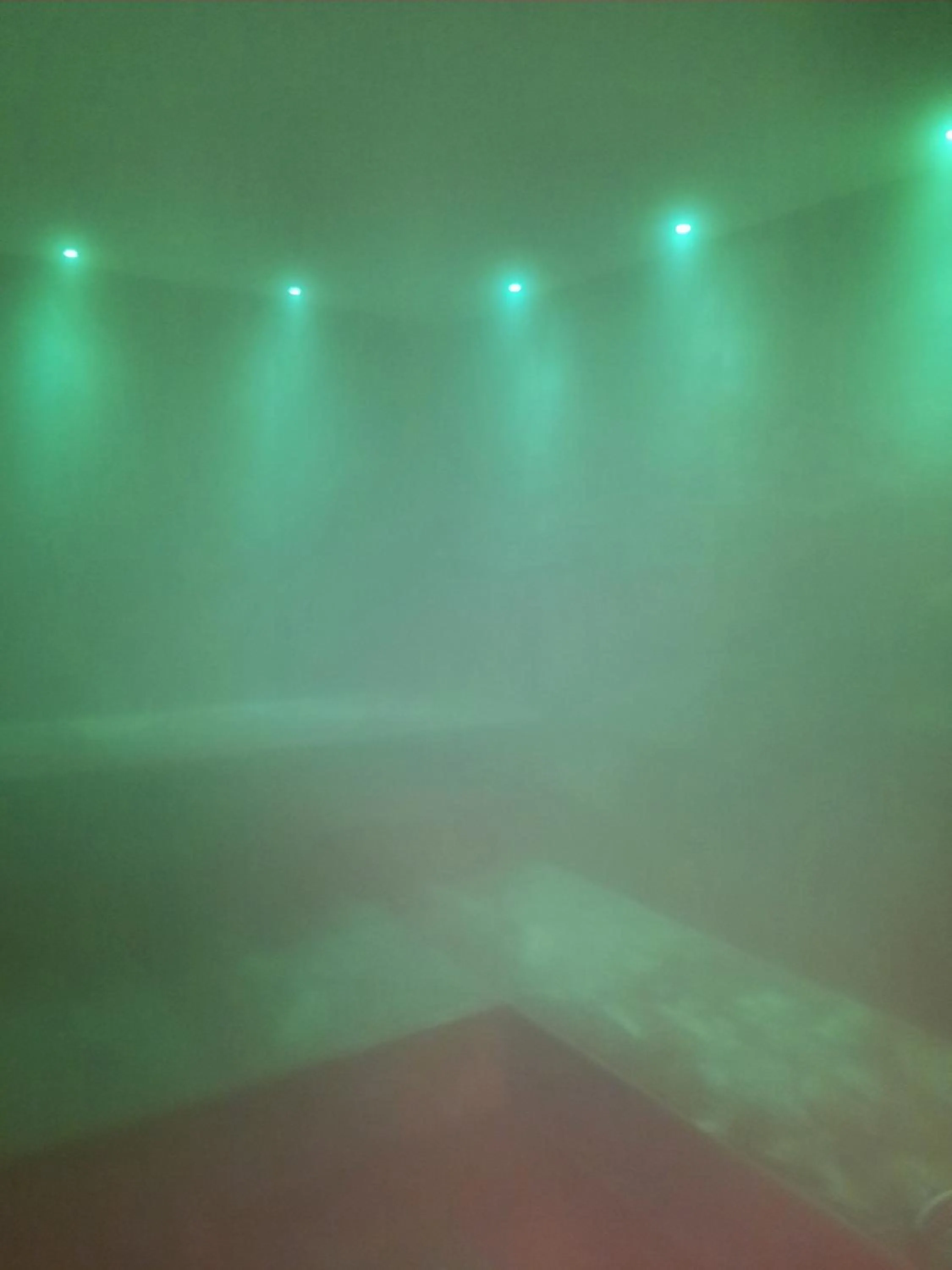 Sauna in Hotel del Bosco