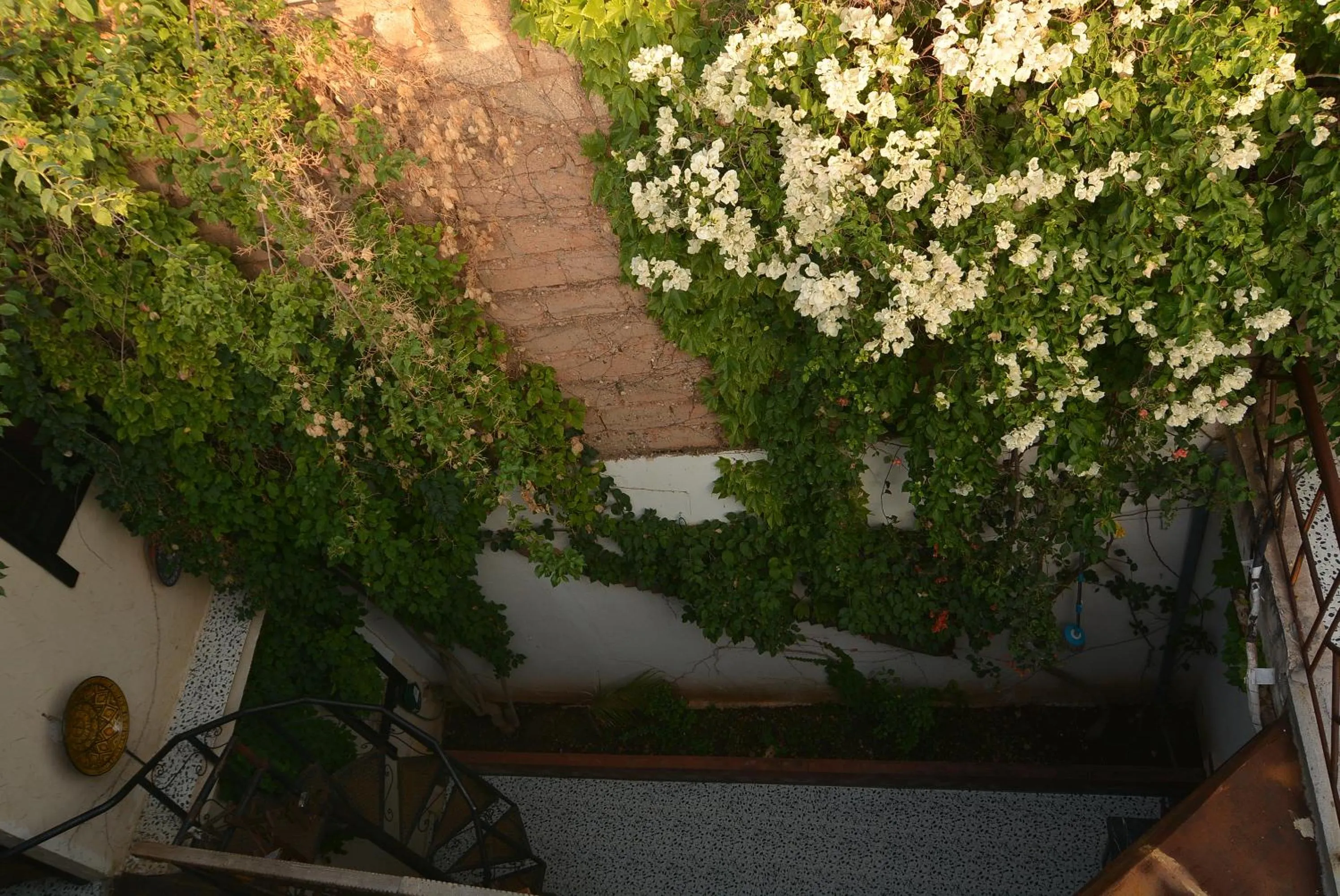 Spring in Maison d'hotes Ait Bou Izryane