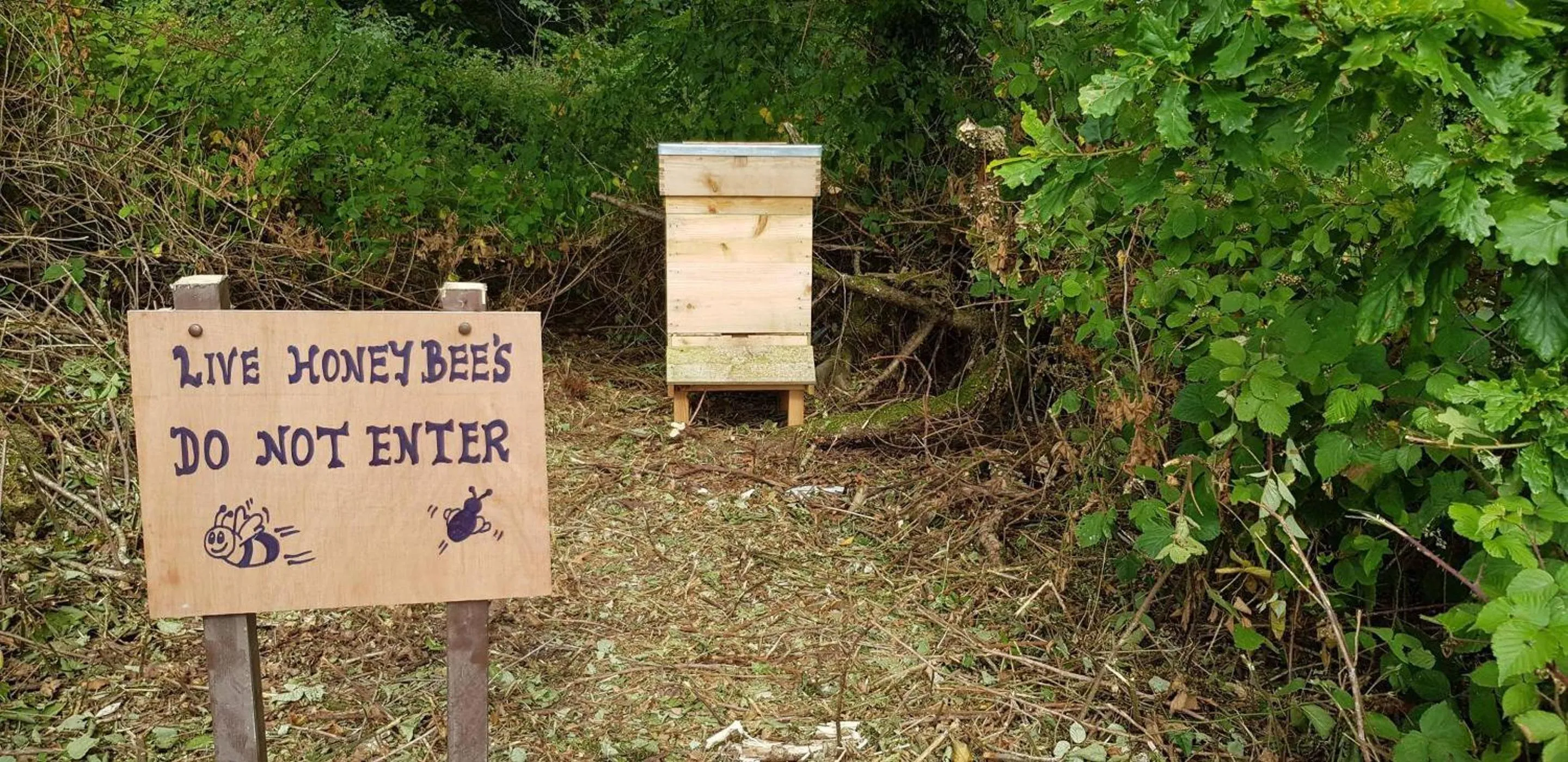 Day in Macdonald Plas Talgarth Resort