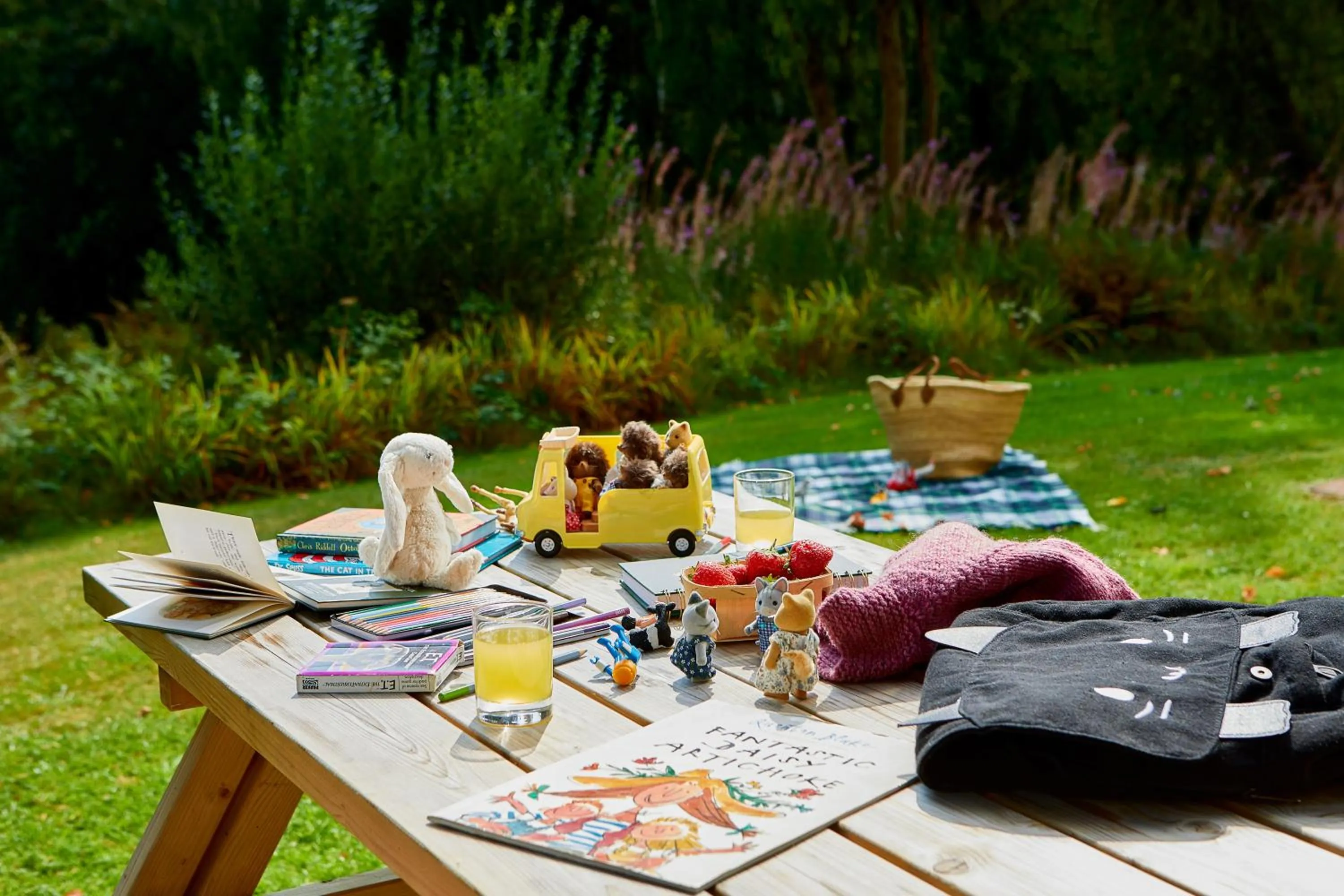 Children play ground in Macdonald Plas Talgarth Resort