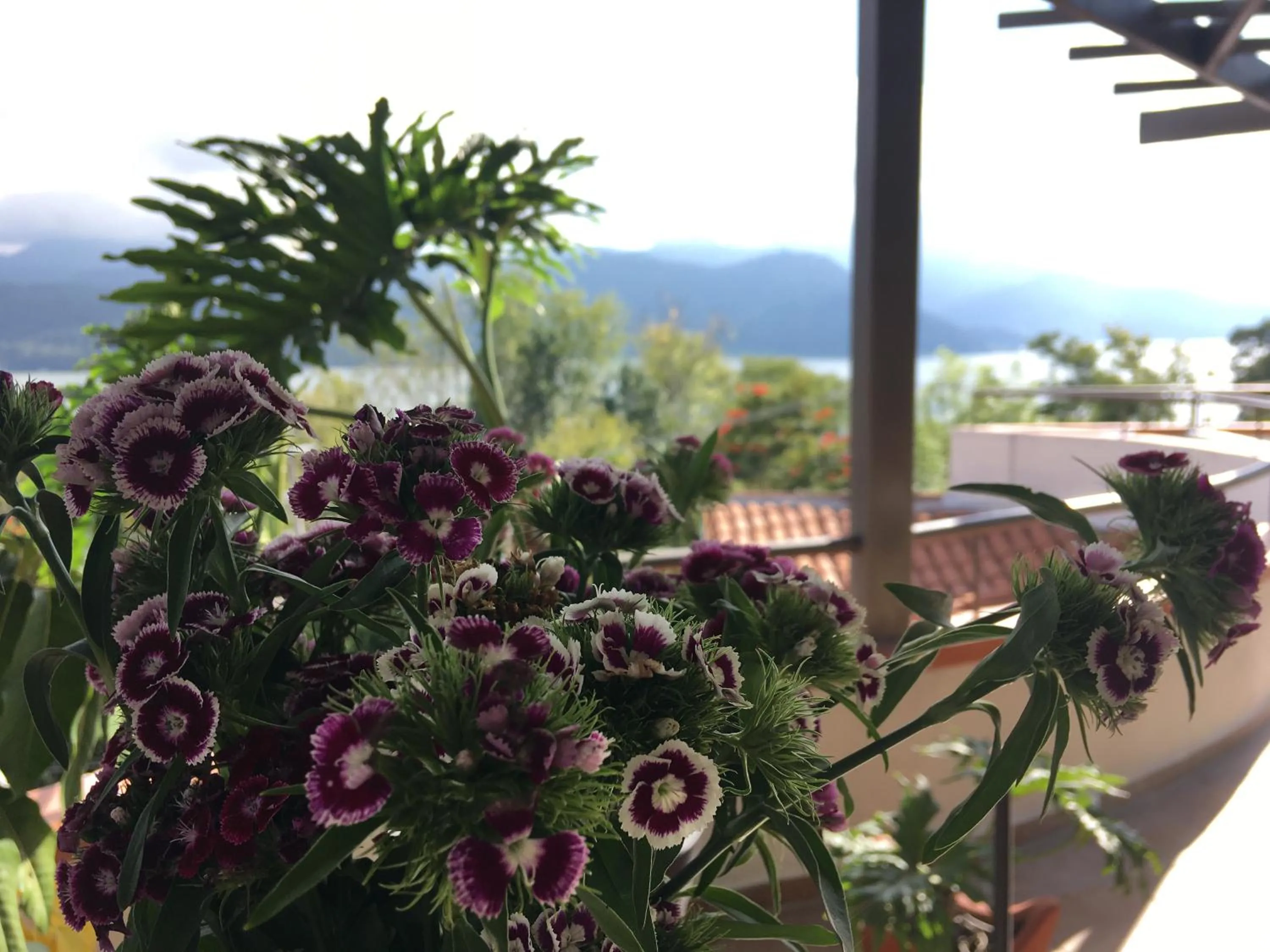 Balcony/Terrace in Casa Cielo