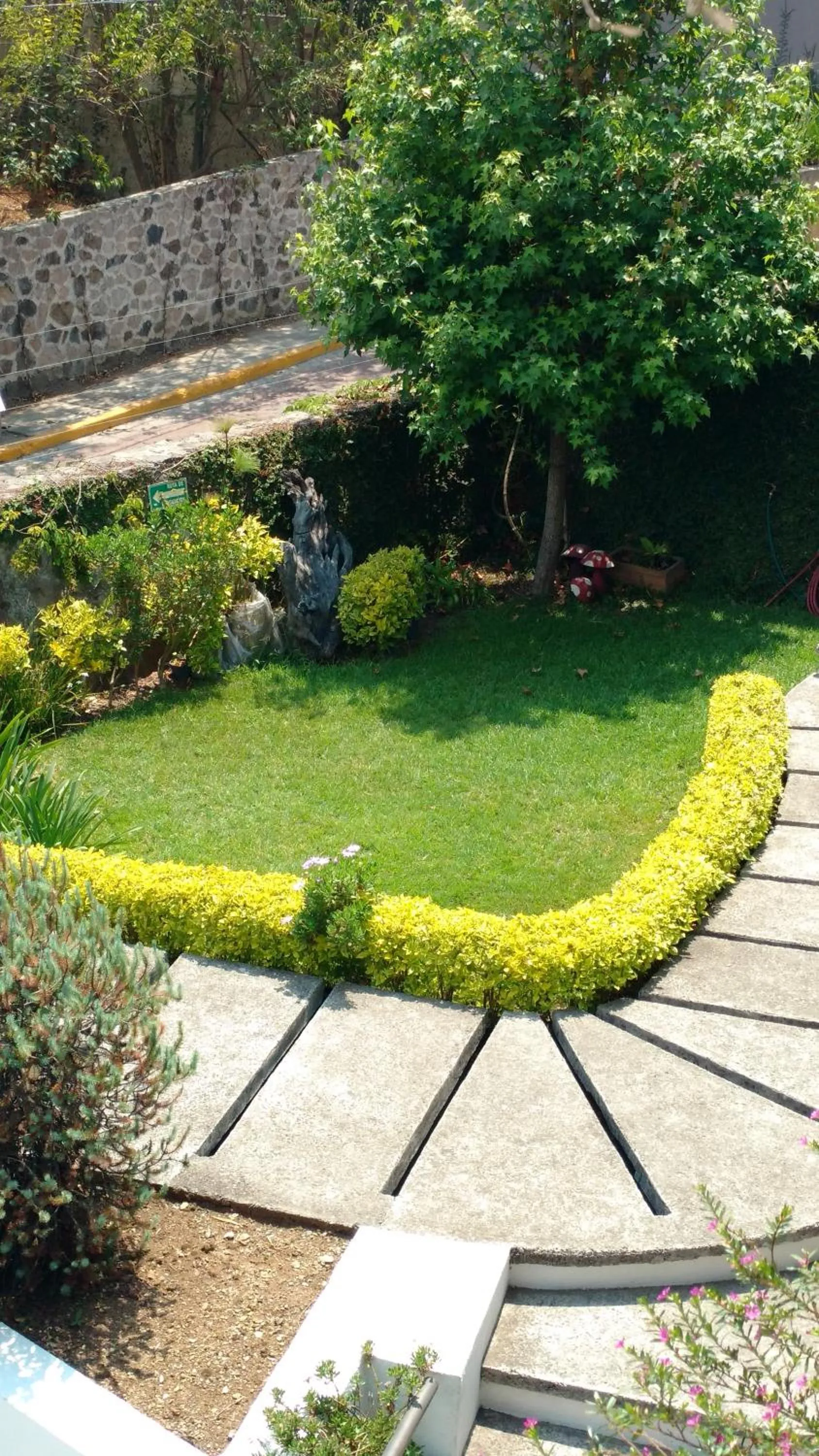 Bird's eye view in Casa Cielo