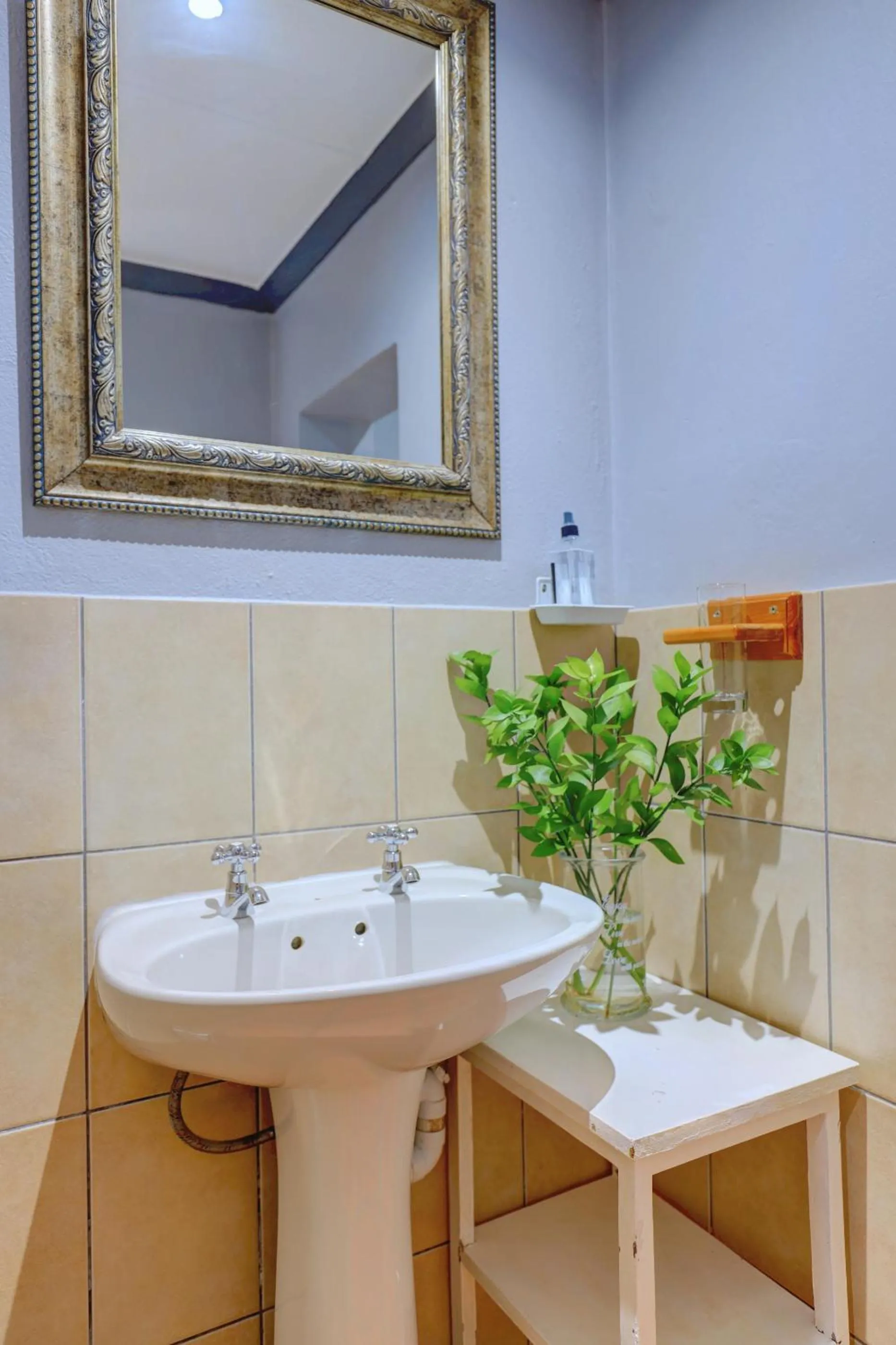 Bathroom in Thylitshia Villa Country Guest House