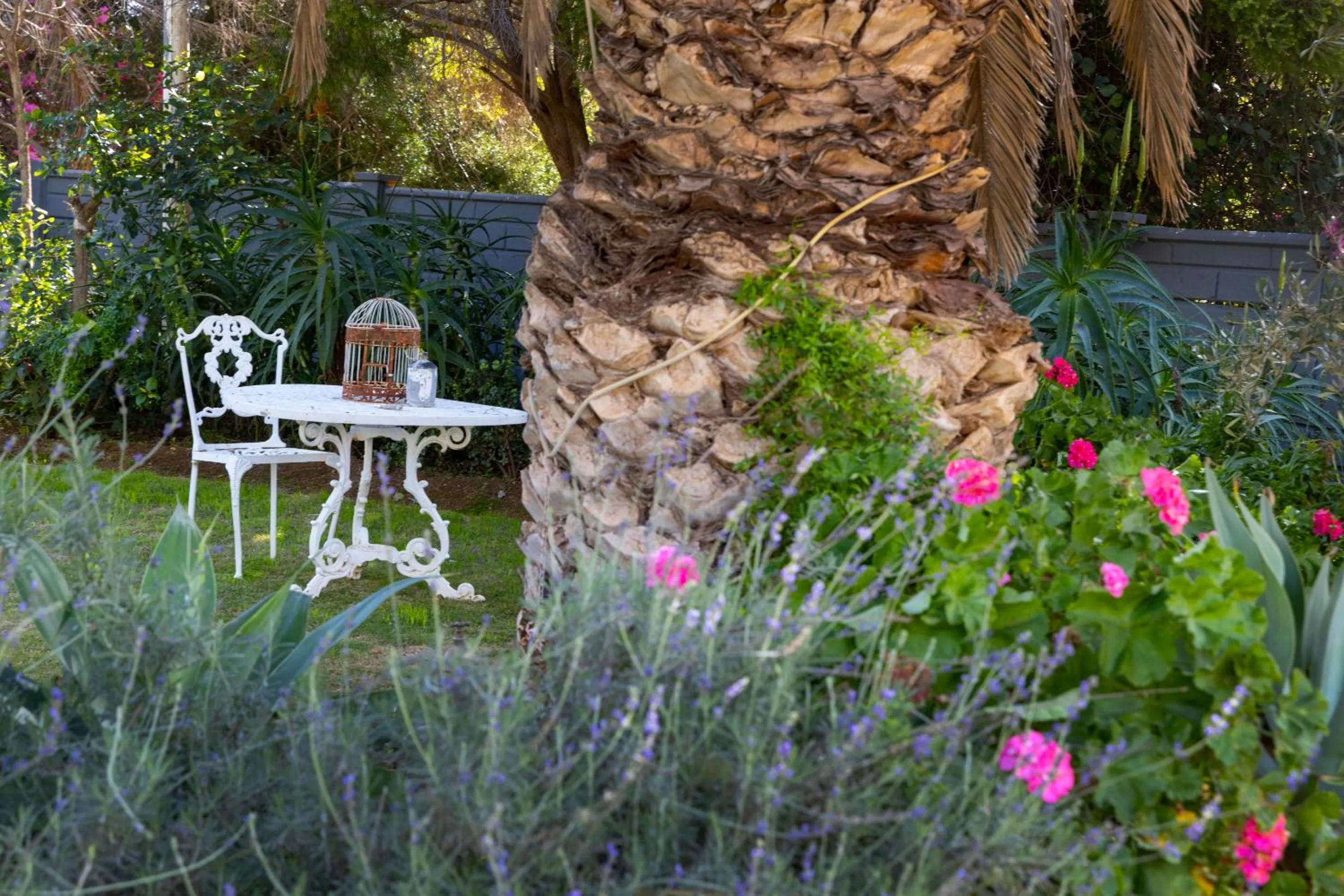 Garden view in Thylitshia Villa Country Guest House