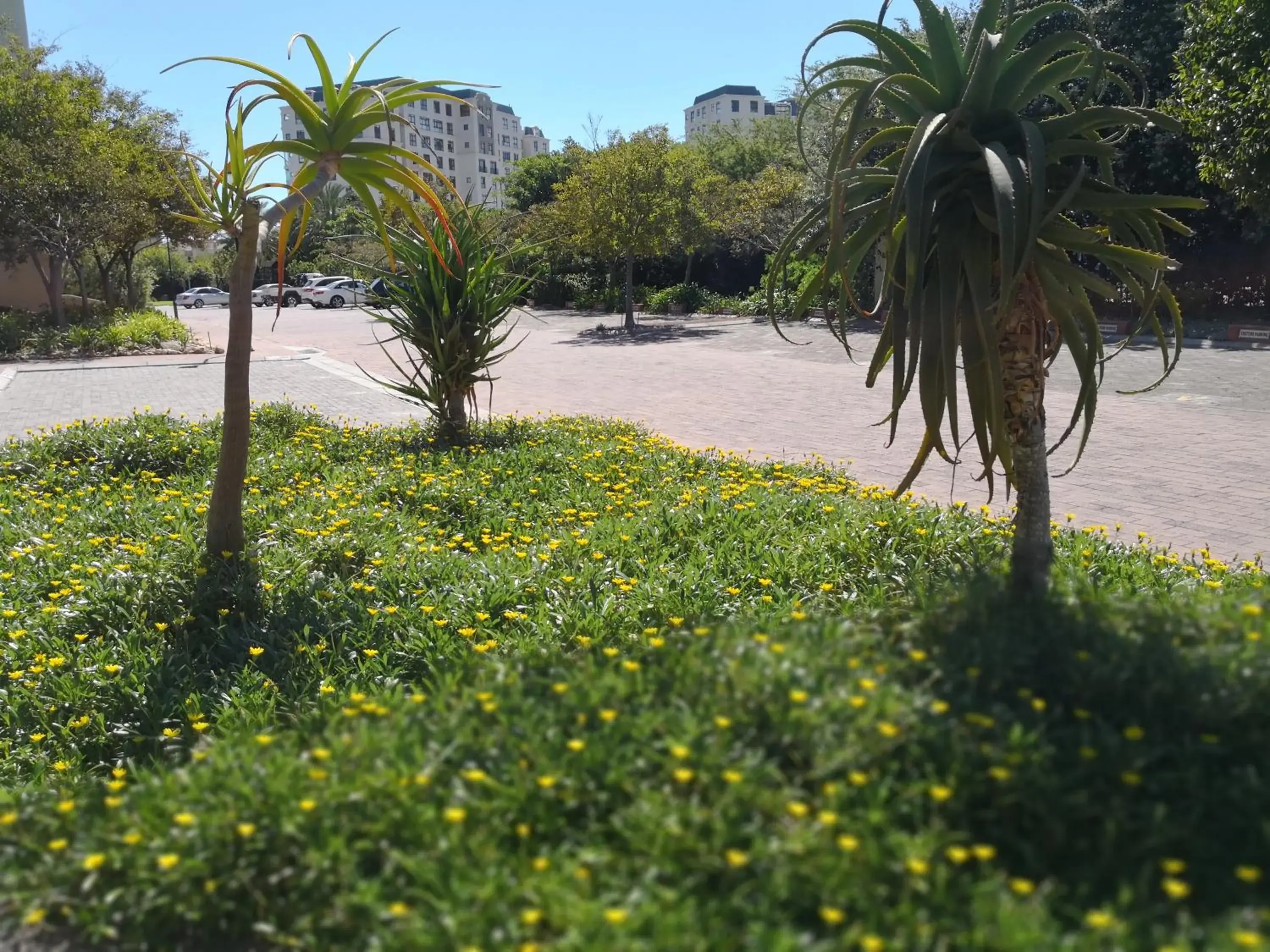 Property building in Majorca Apartments by BON Hotels Property building in Majorca Apartments by BON Hotels