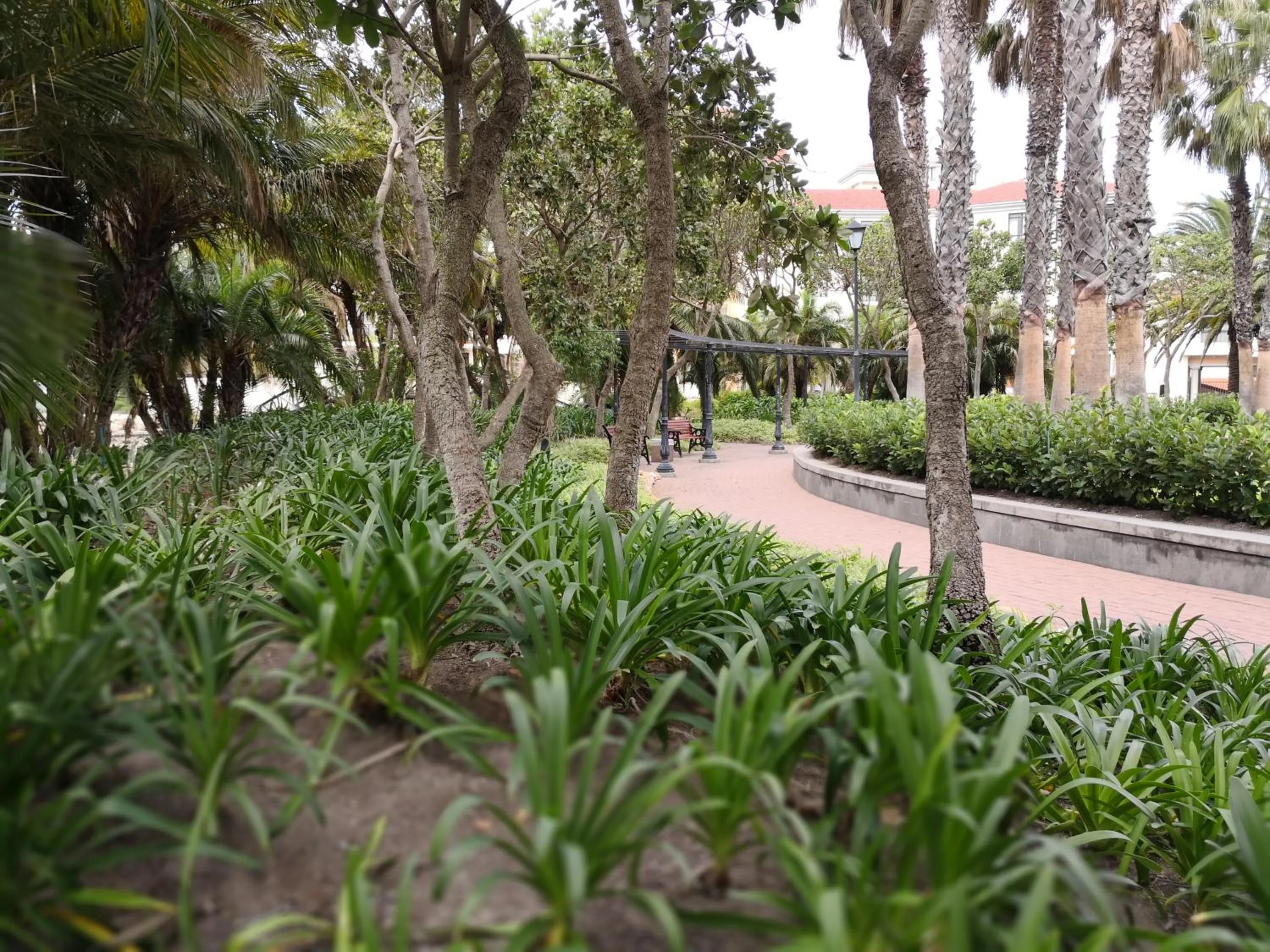 Day in Majorca Apartments by BON Hotels