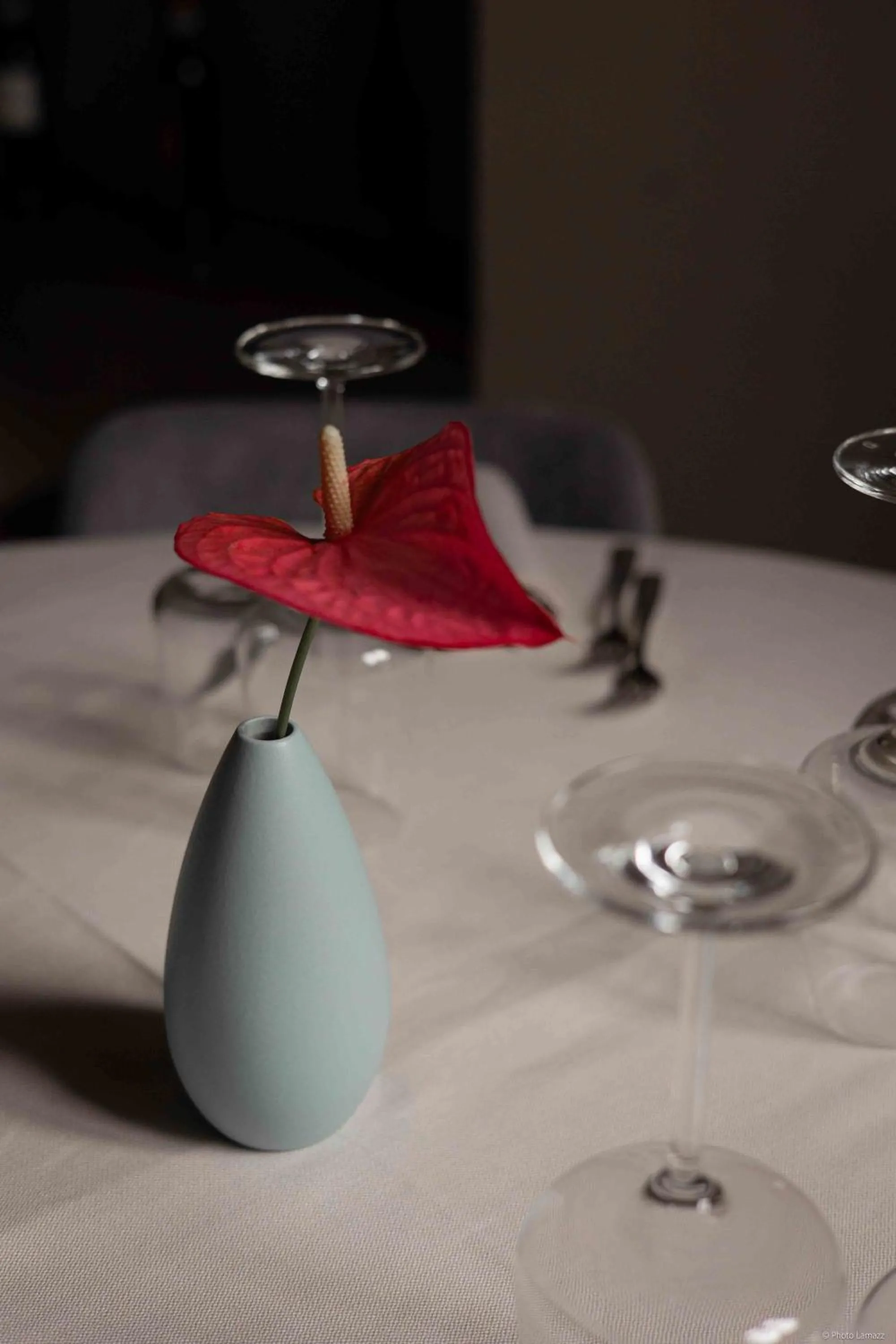 Restaurant/places to eat in Locanda del lupo