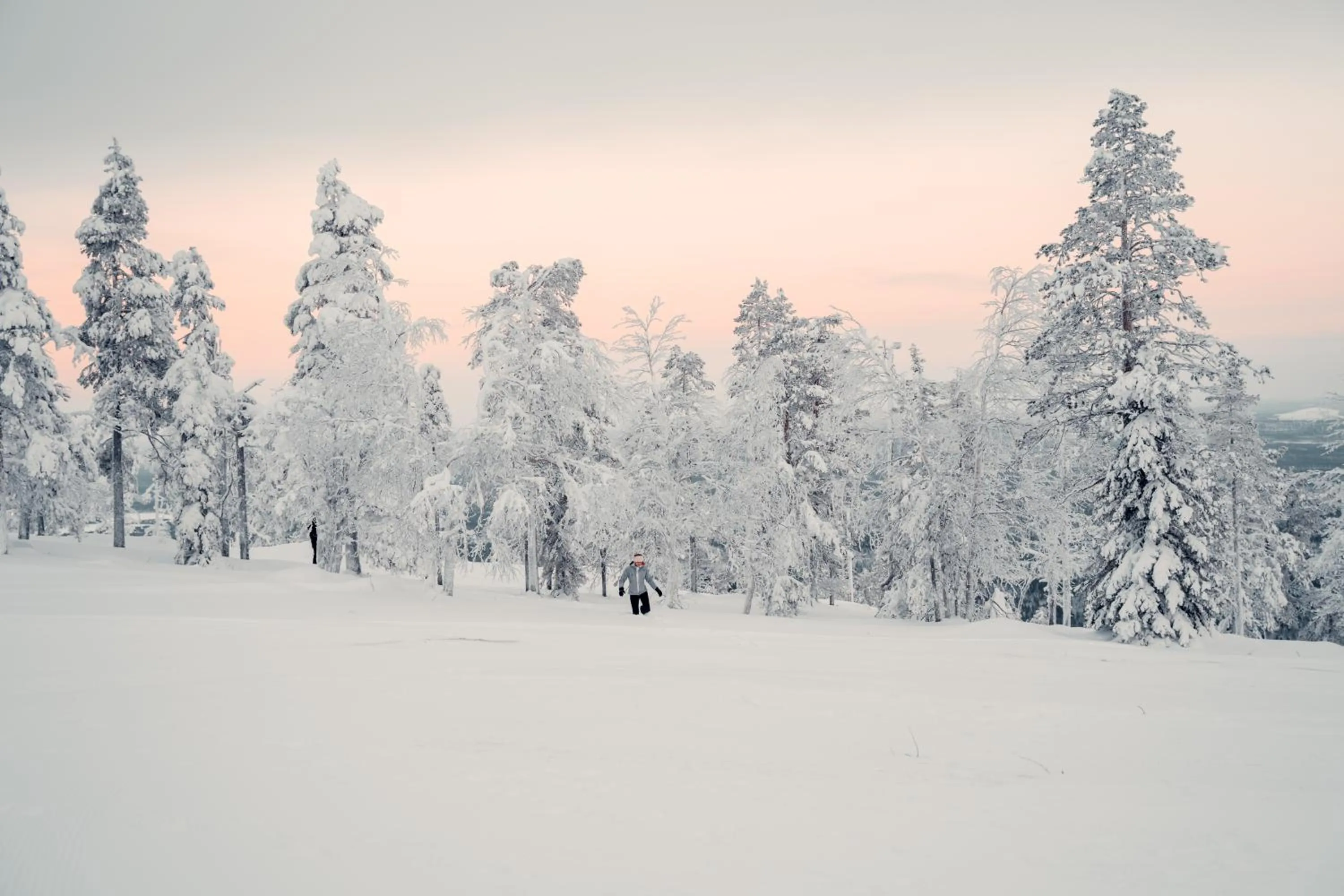 Natural landscape in Hotelli Suomutunturi