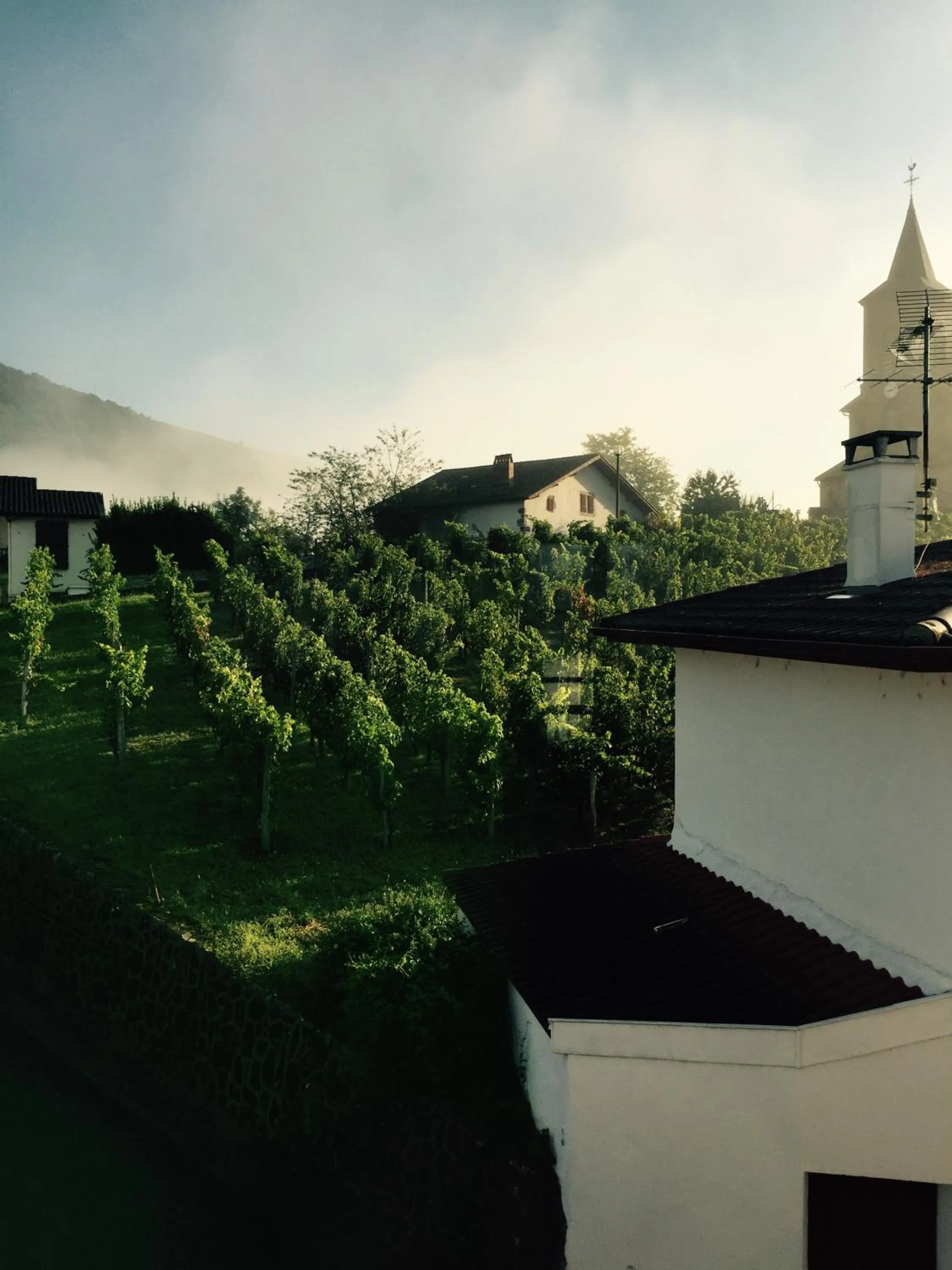 View (from property/room) in Maison Bidegain Berria