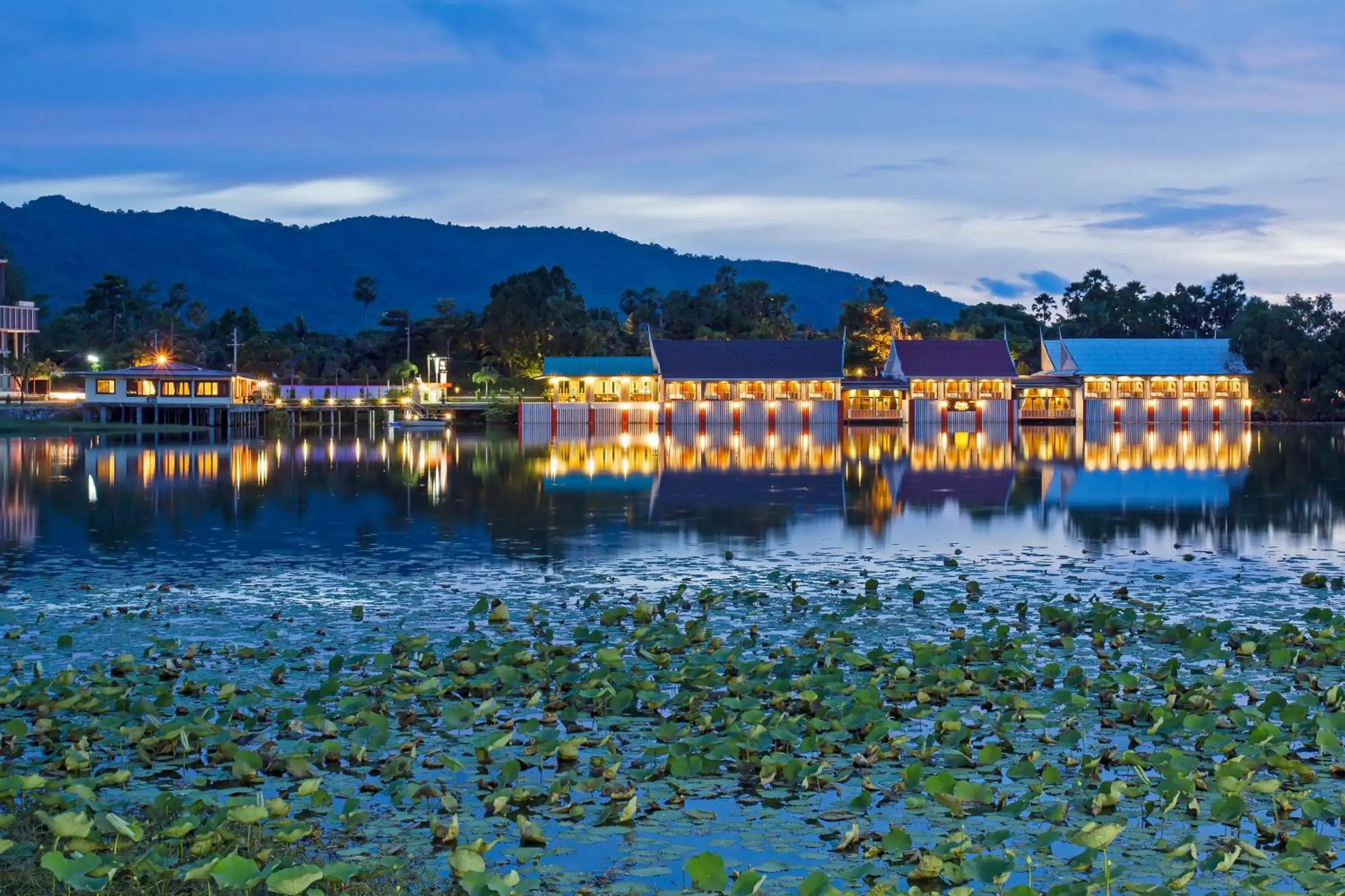 View (from property/room) in Chabana Resort Bang-tao Beach Phuket- SHA Extra Plus View (from property/room) in Chabana Resort Bang-tao Beach Phuket- SHA Extra Plus