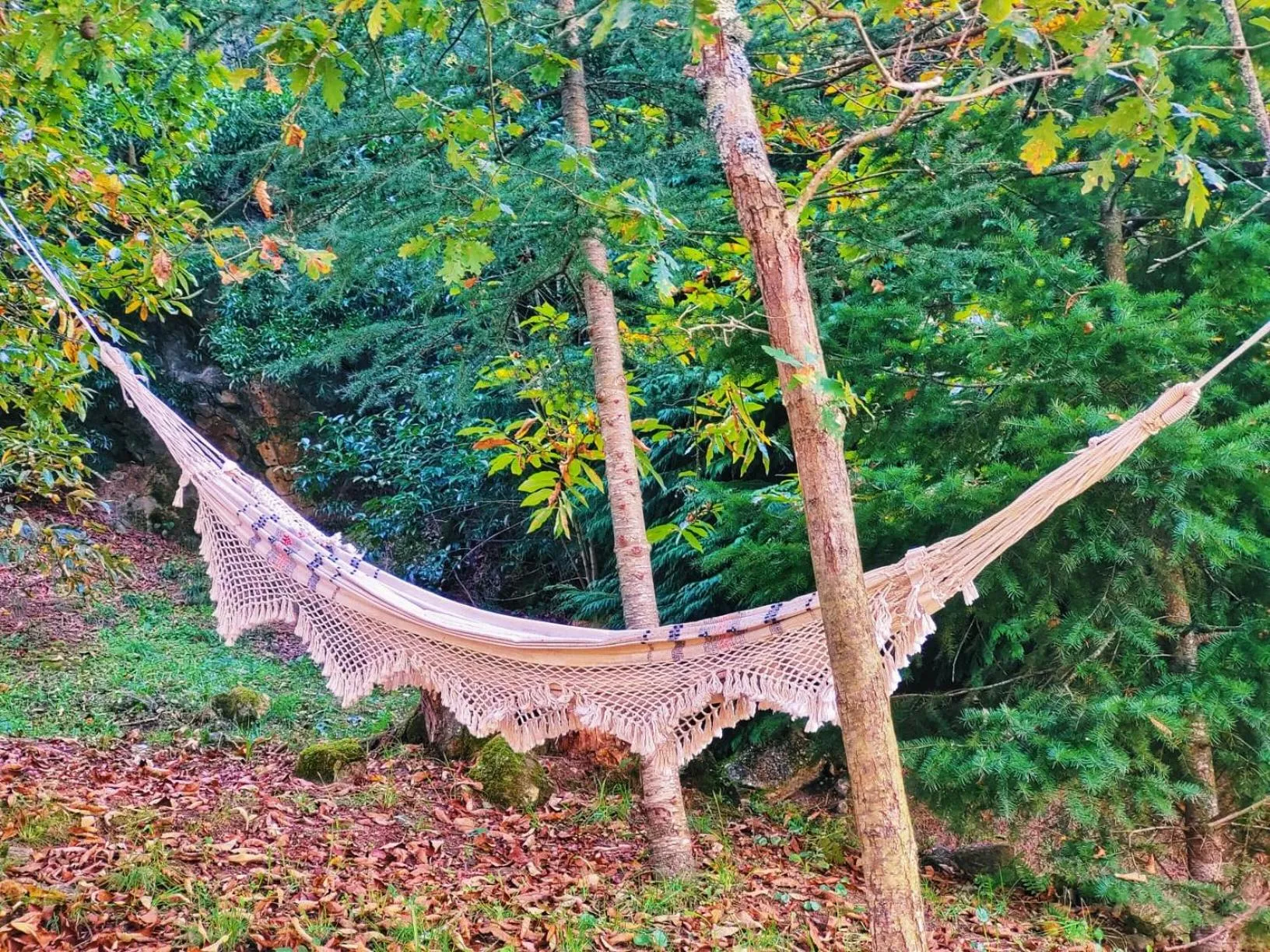 Natural landscape in Paço de Vilharigues