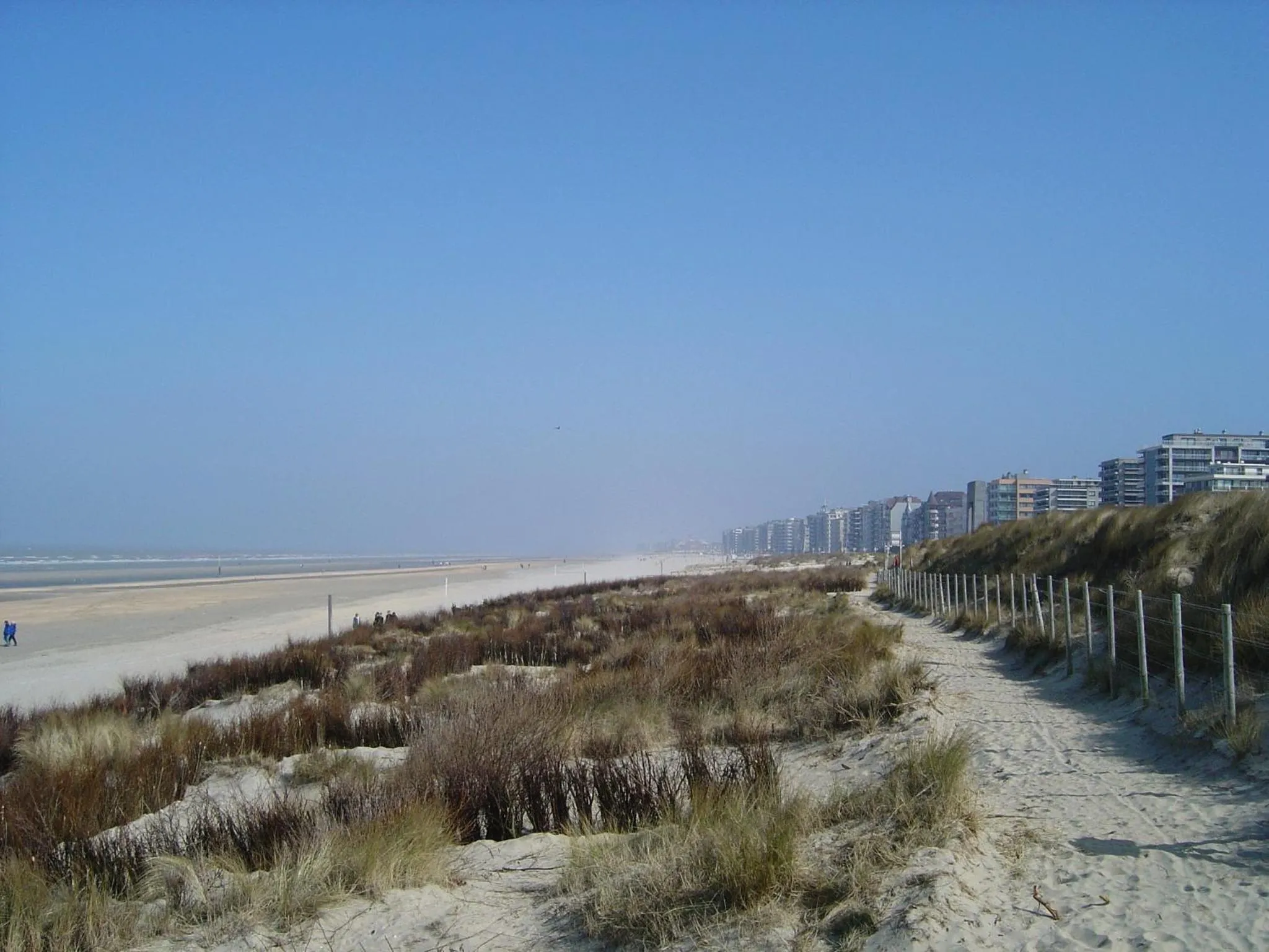 Beach in App De Panne 2