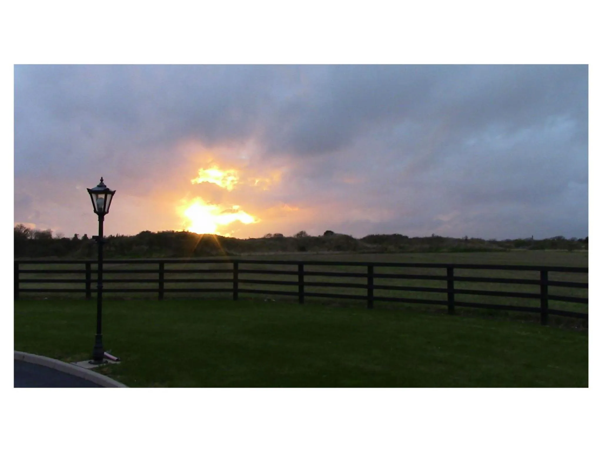 Garden view in Ambrose Mews B&B