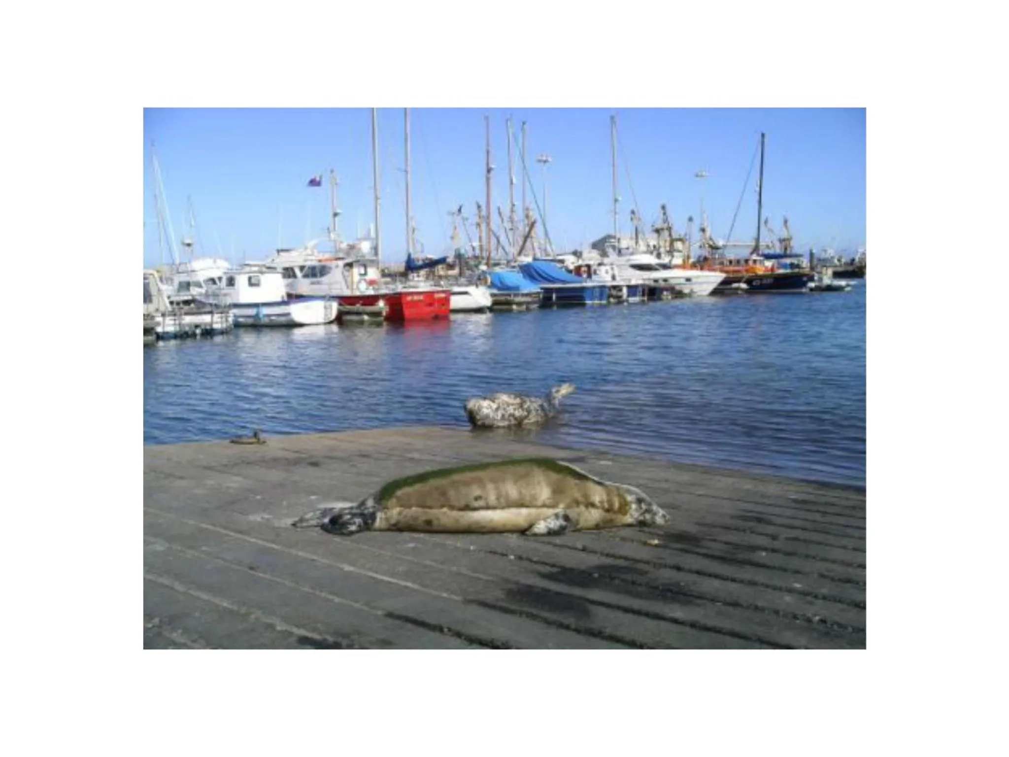 Fishing in Ambrose Mews B&B