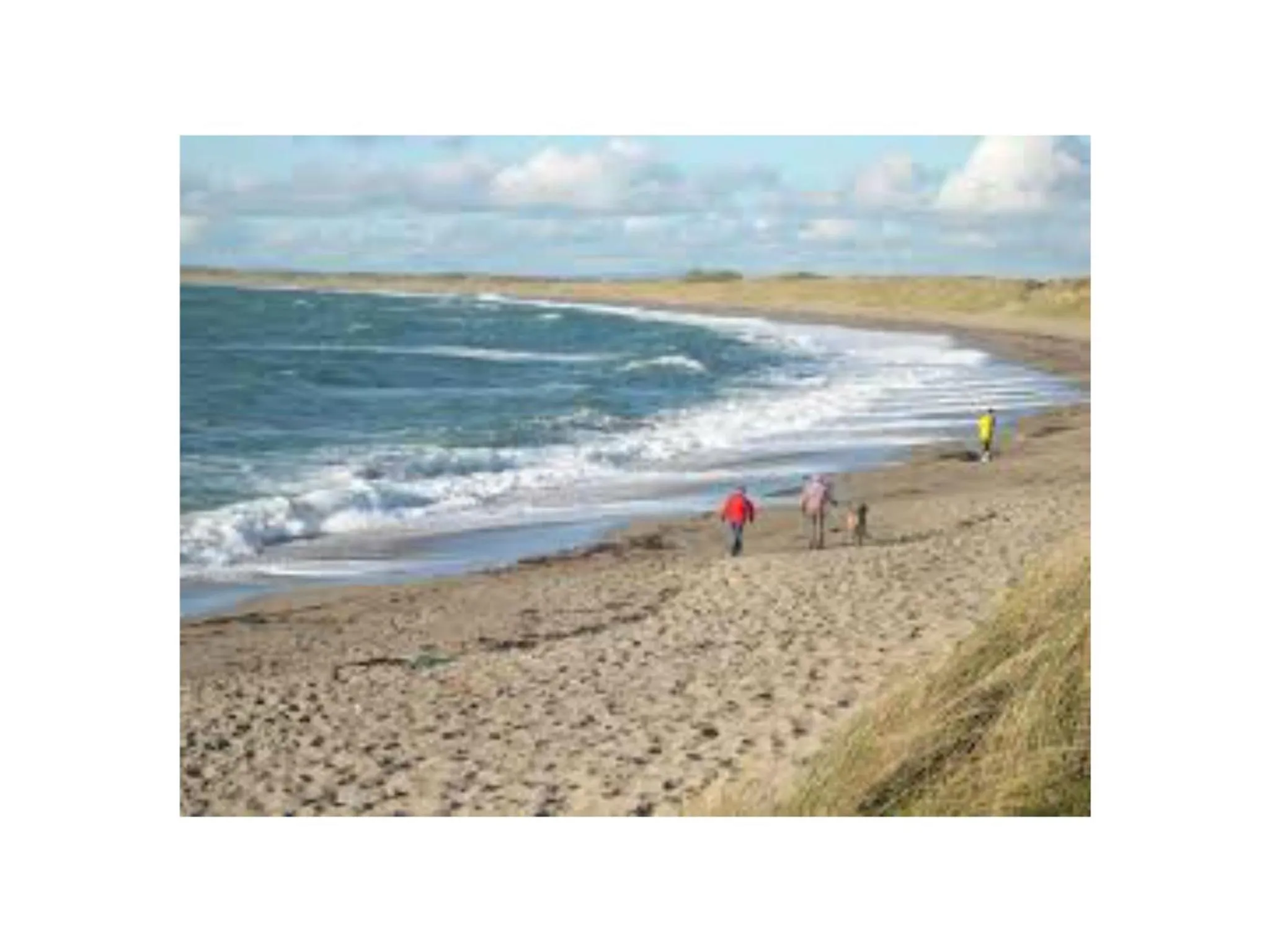 Natural landscape in Ambrose Mews B&B