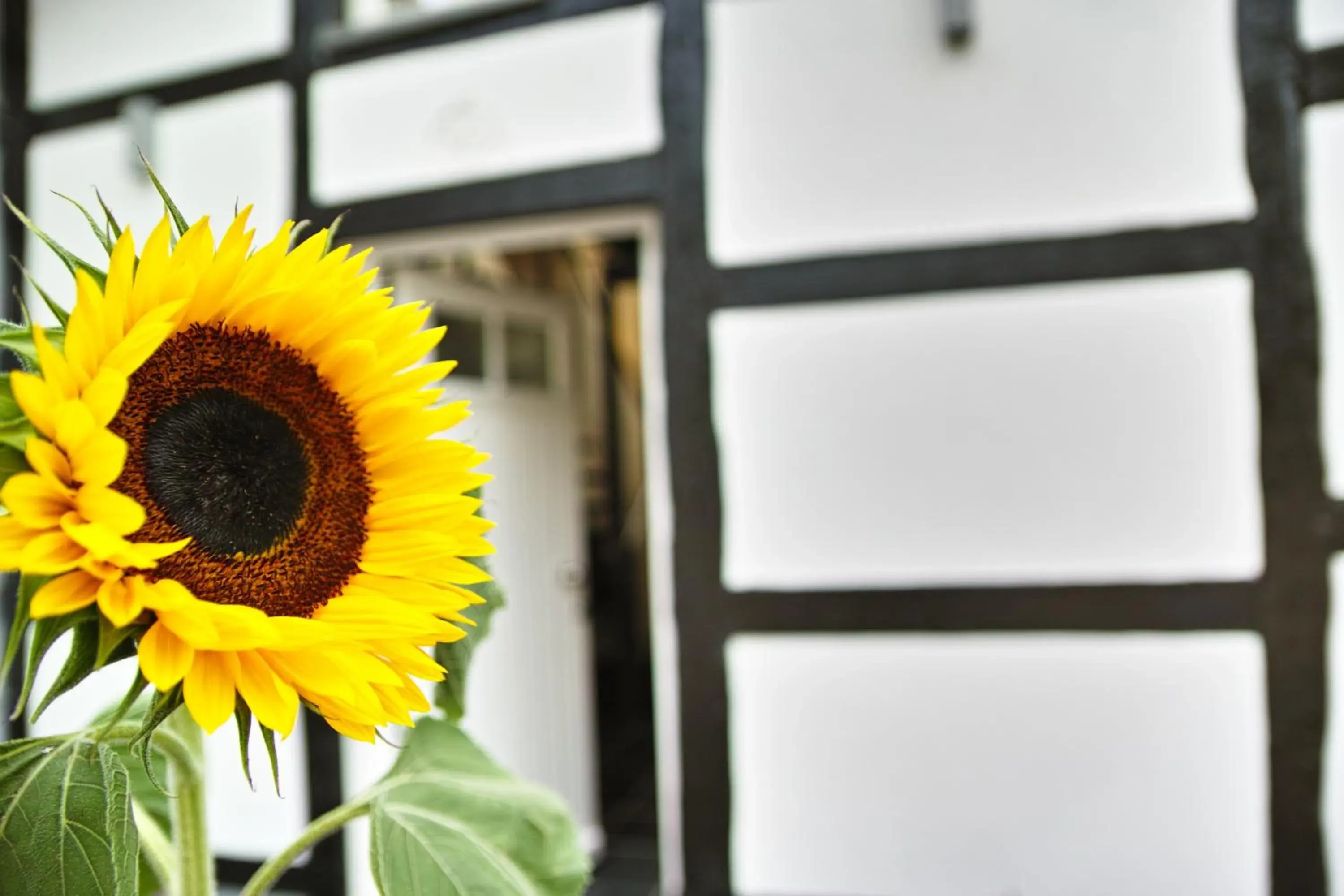 Property building in Kragemann Hotel & Vinothek Property building in Kragemann Hotel & Vinothek