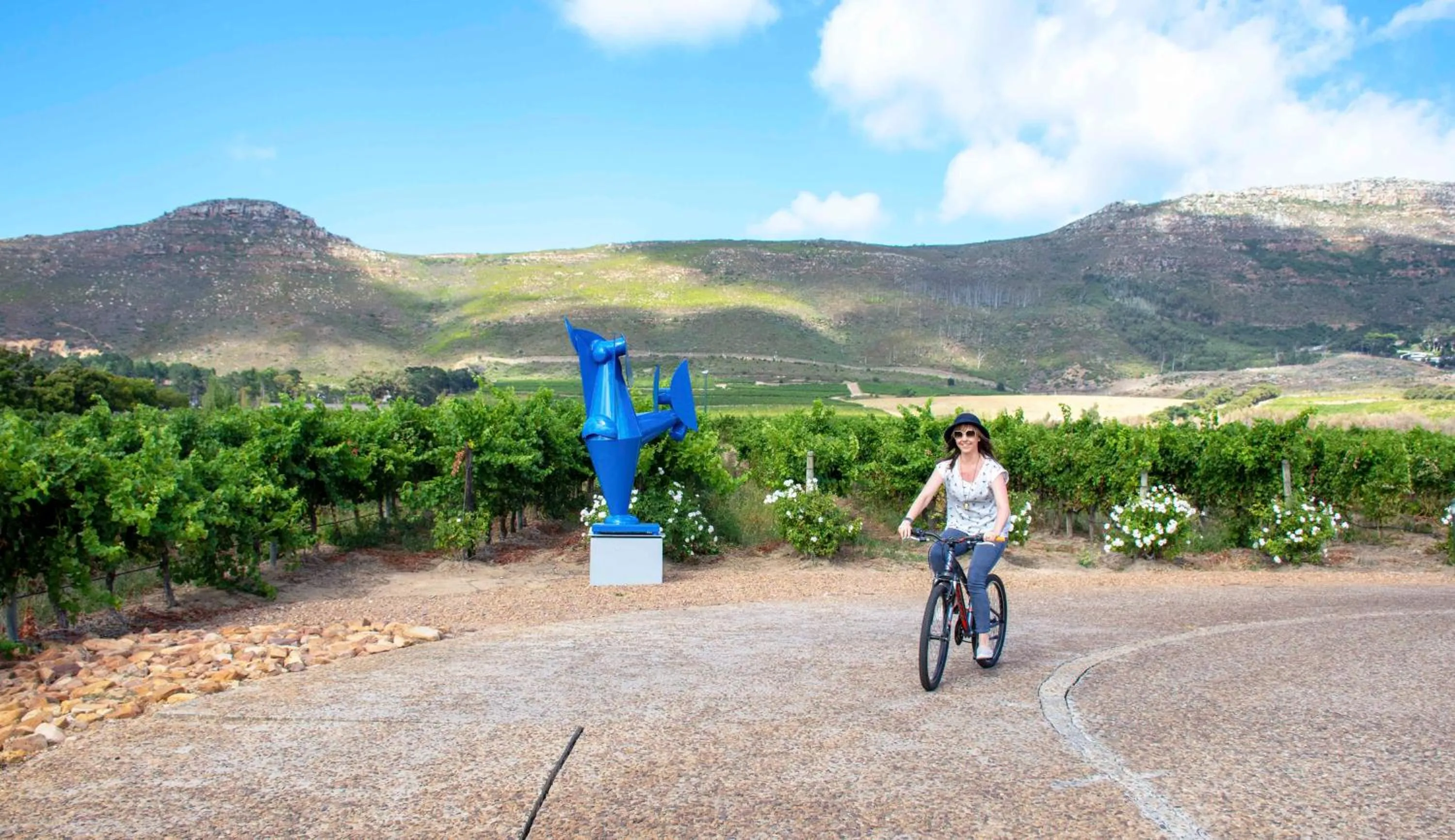 Cycling in Steenberg Hotel & Spa