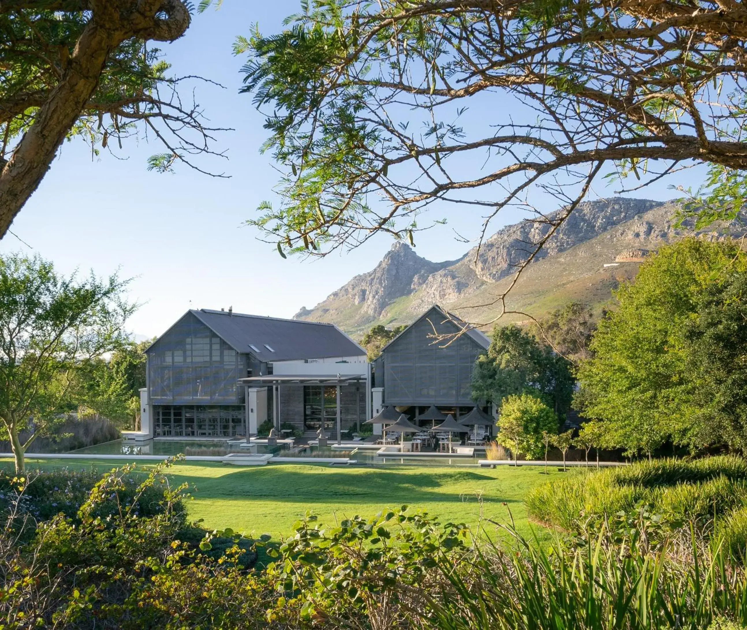 Restaurant/places to eat in Steenberg Hotel & Spa Restaurant/places to eat in Steenberg Hotel & Spa