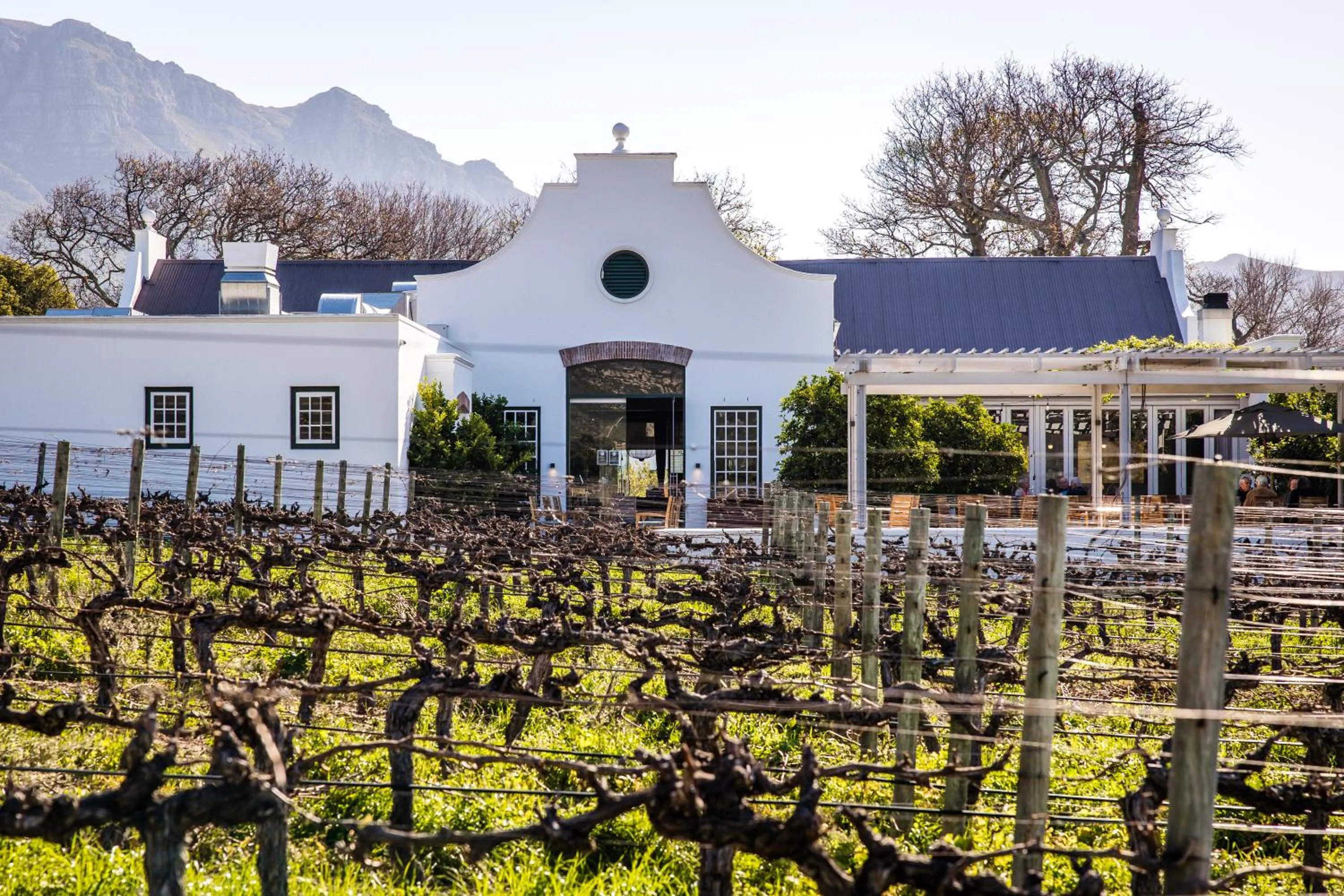 Restaurant/places to eat in Steenberg Hotel & Spa