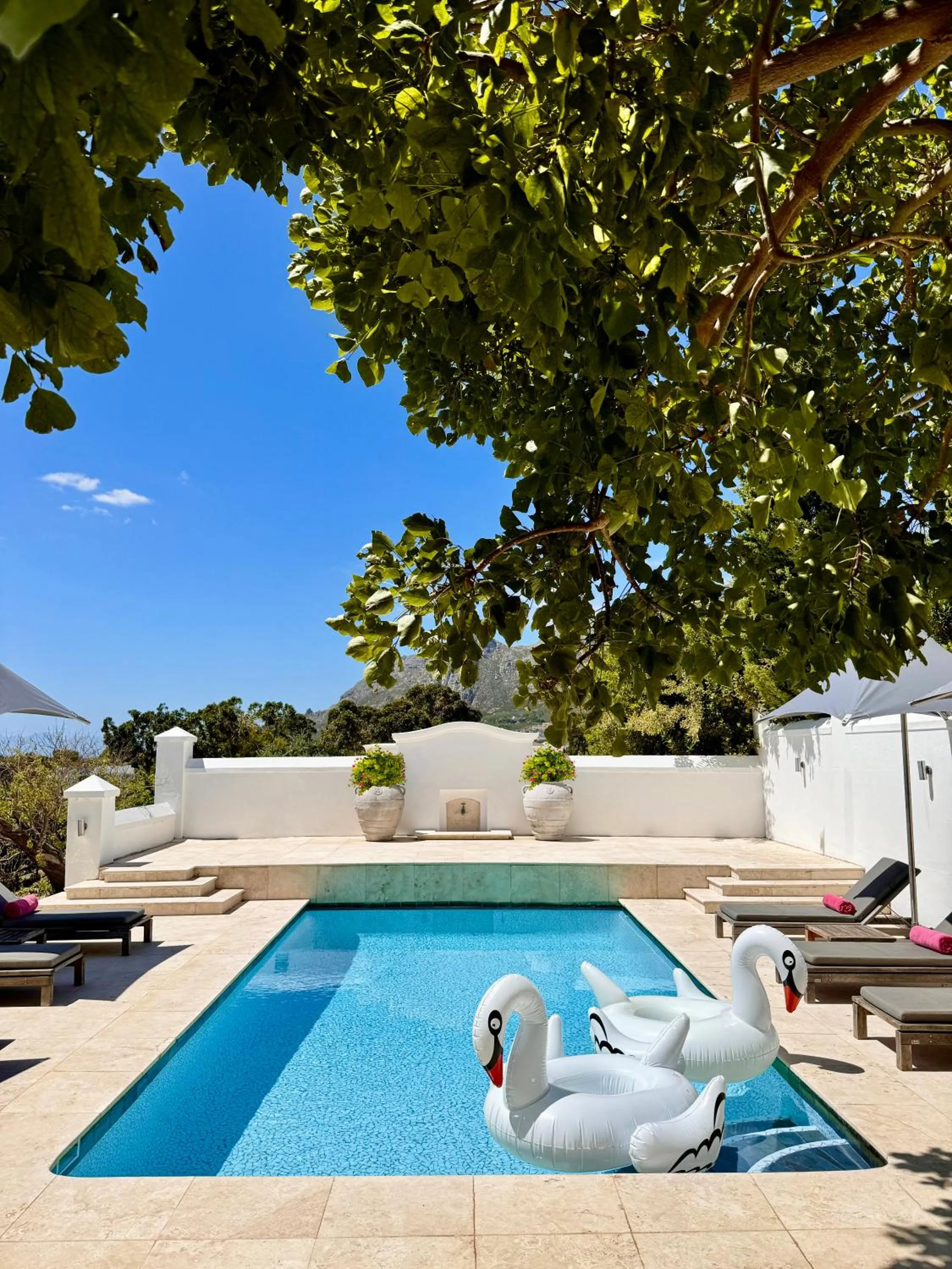 Swimming pool in Steenberg Hotel & Spa