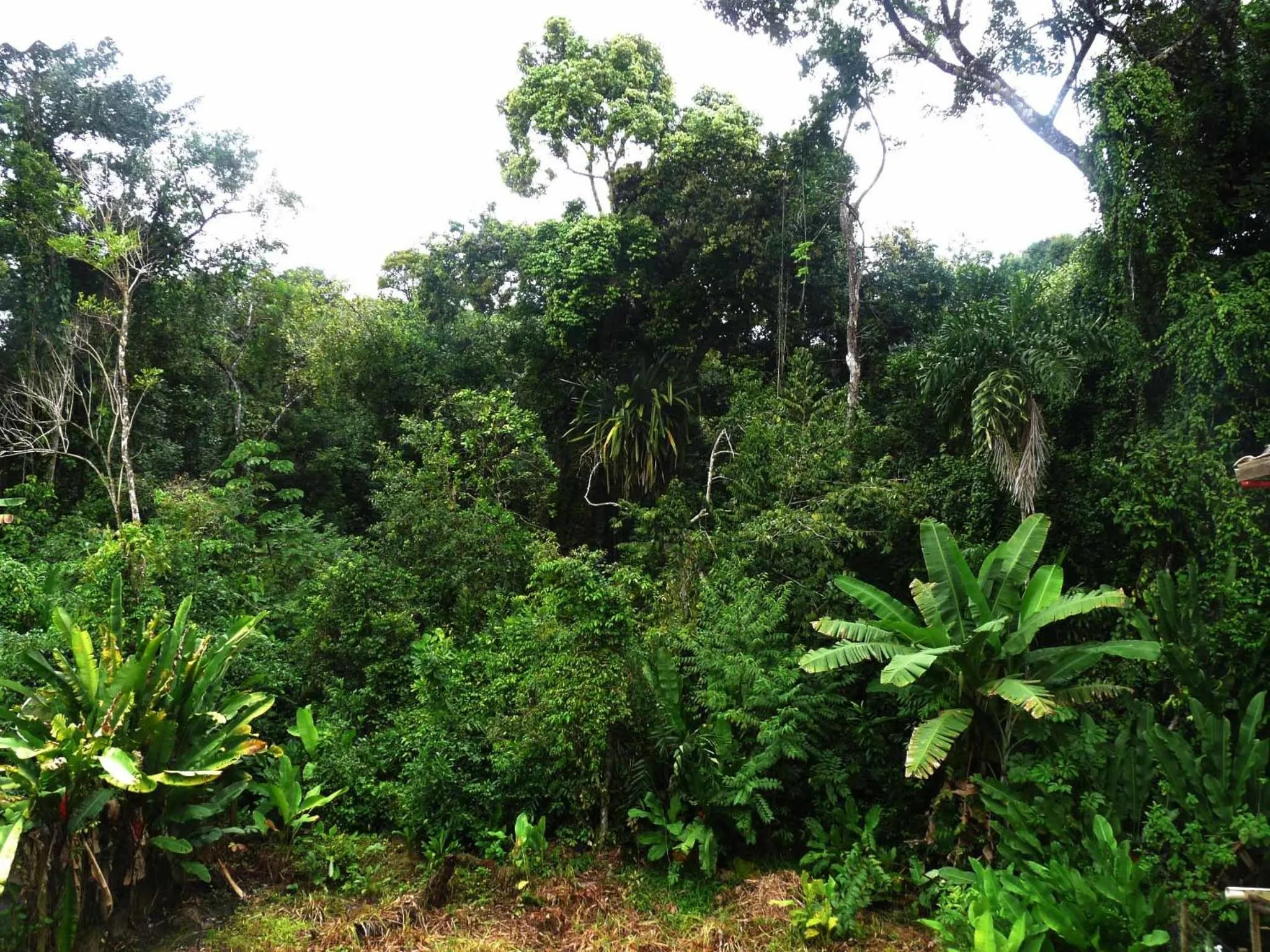 View (from property/room) in Vila Engawa Flats