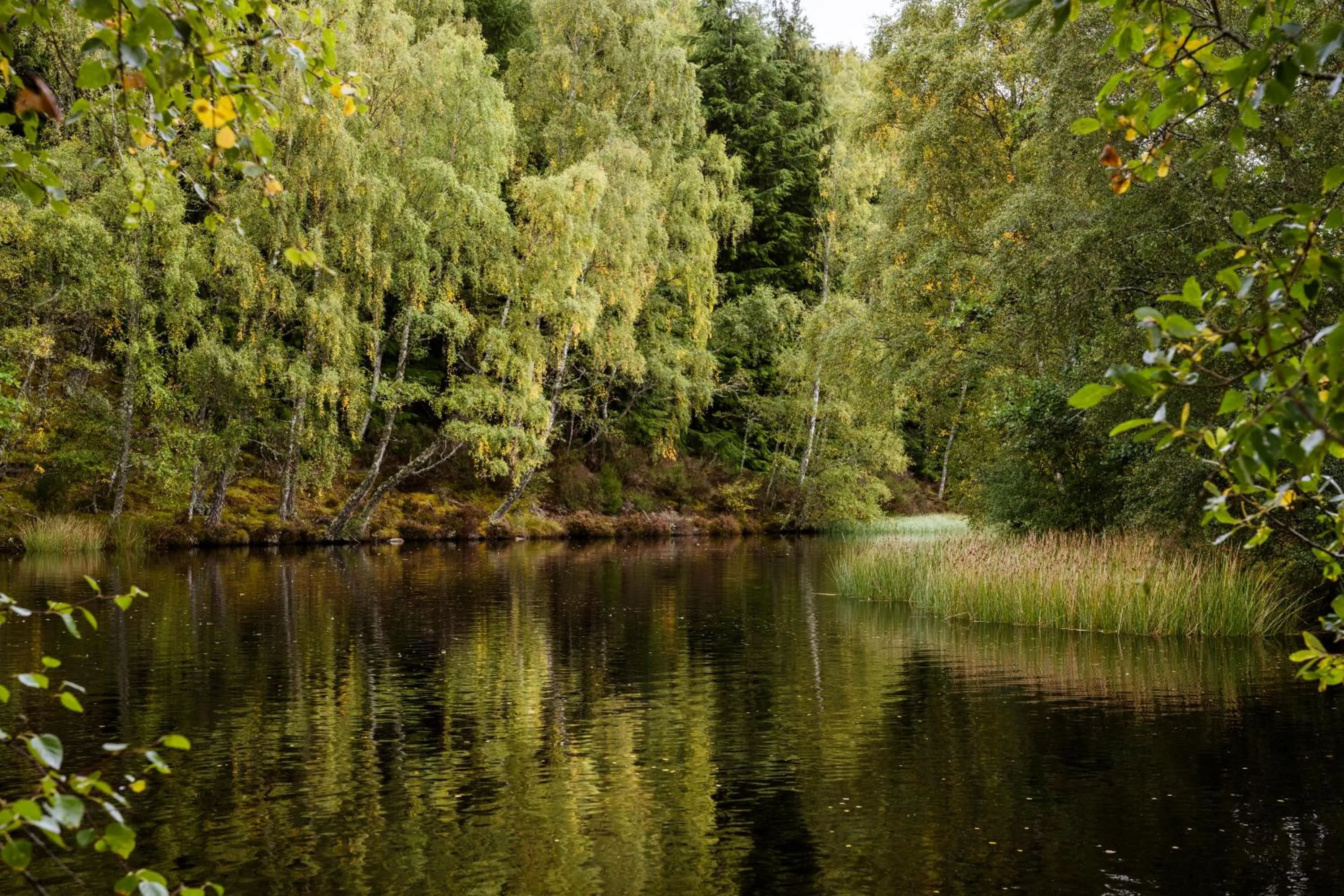 Lake view in Macdonald Lochanhully Resort