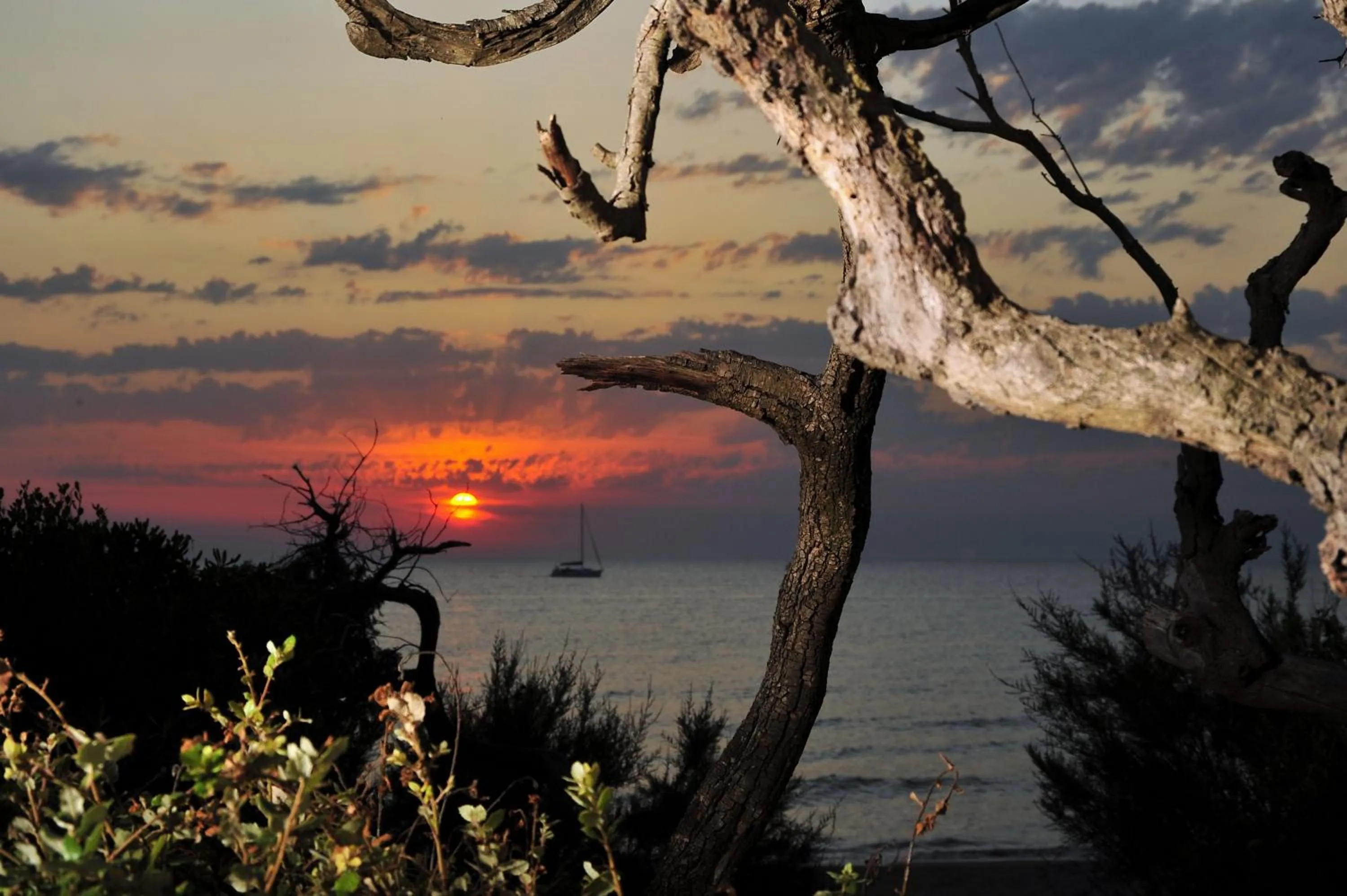 Beach in Hotel Aurora
