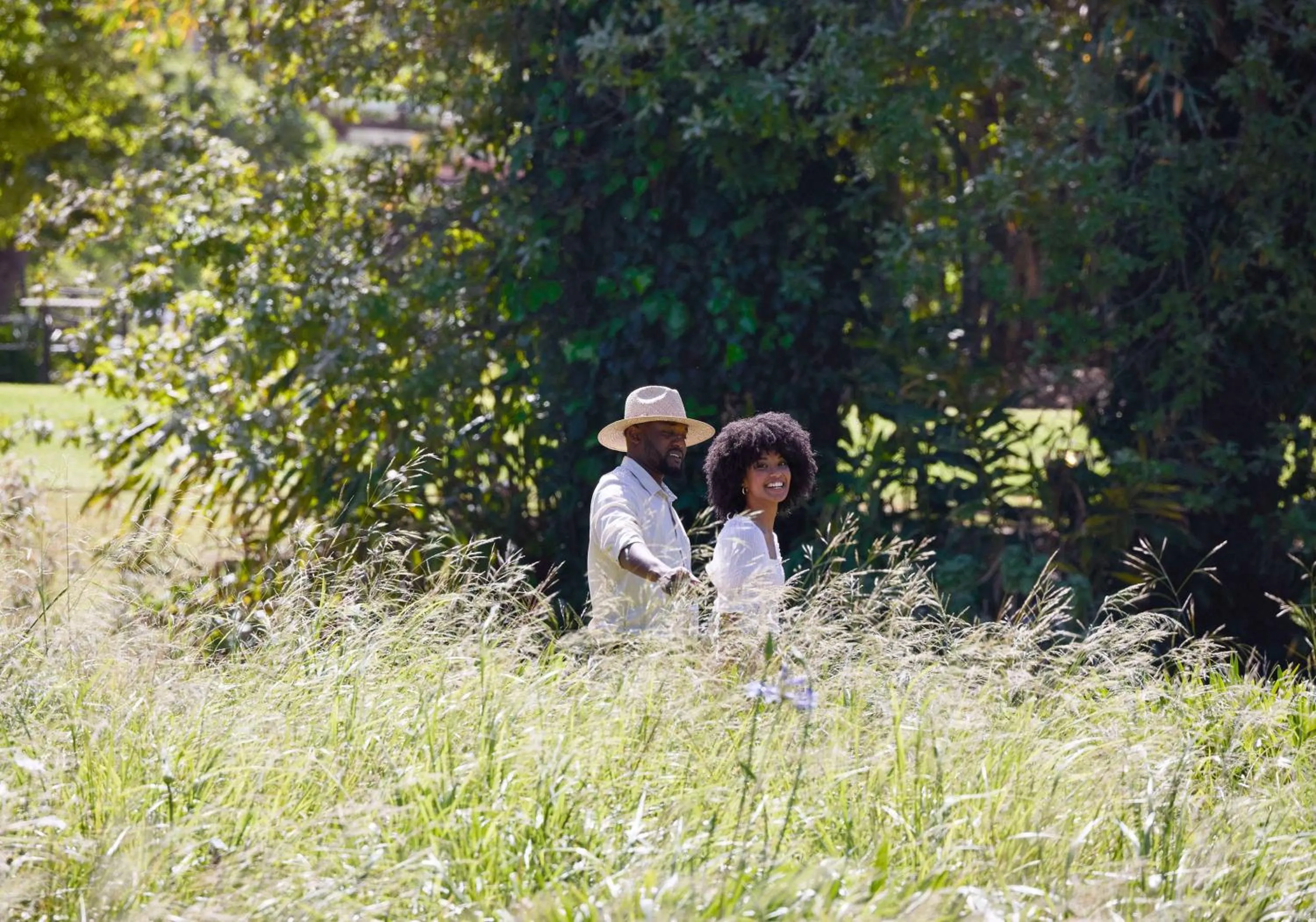 Garden view in Spier Hotel and Wine Farm