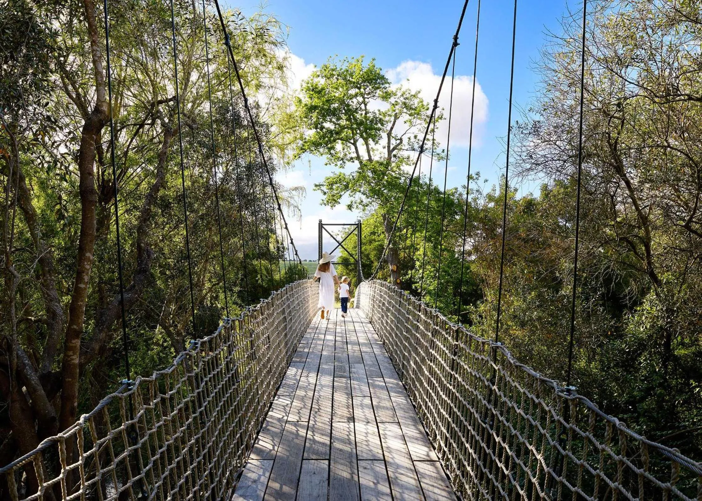 Activities in Spier Hotel and Wine Farm