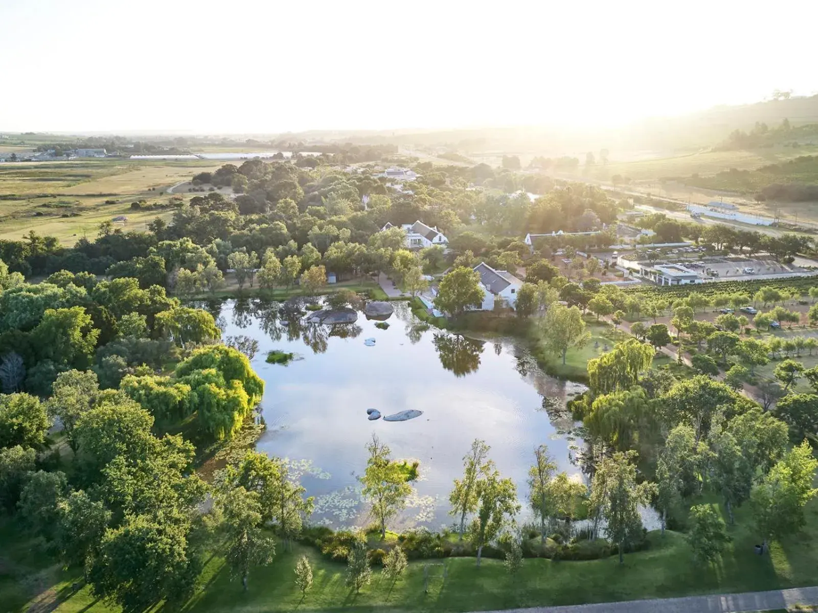 View (from property/room) in Spier Hotel and Wine Farm View (from property/room) in Spier Hotel and Wine Farm