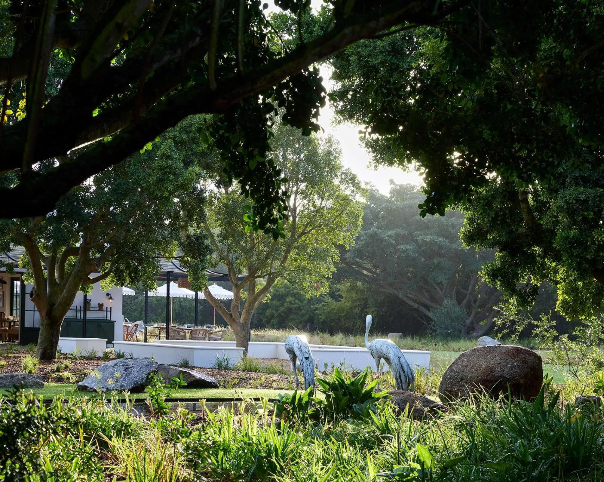 Garden in Spier Hotel and Wine Farm