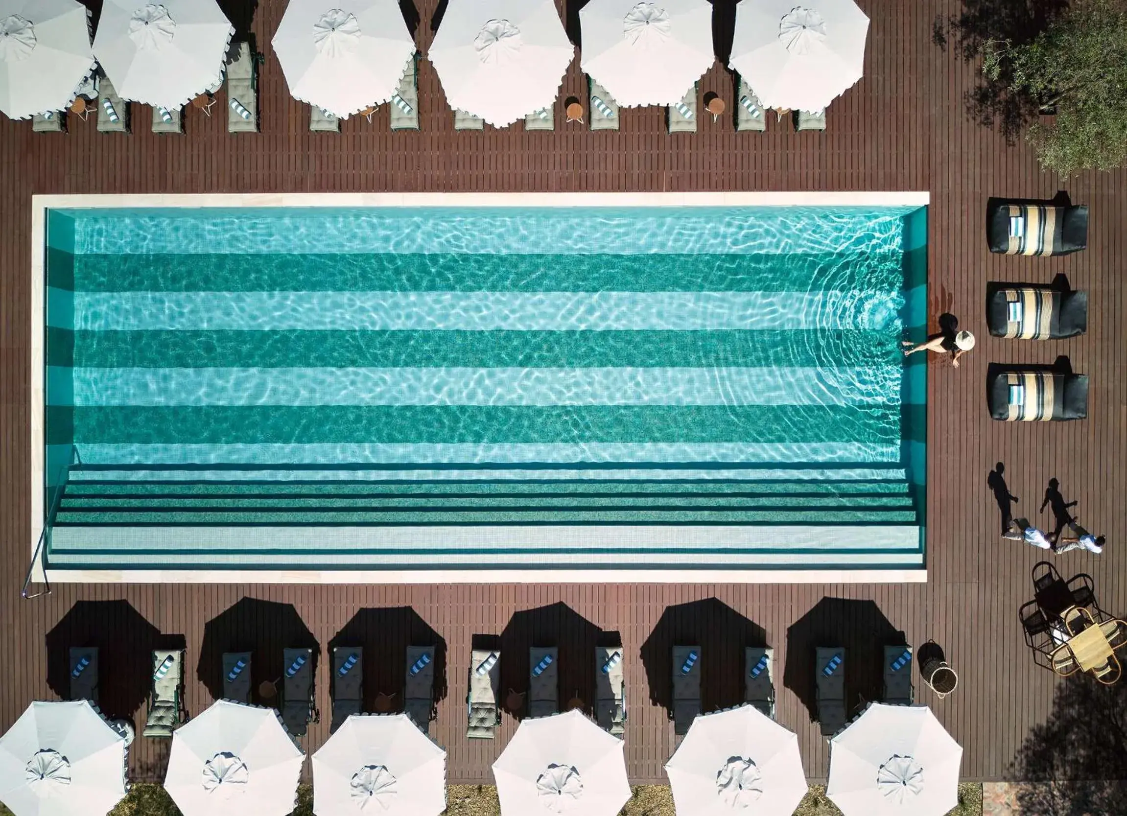 Swimming pool in Spier Hotel and Wine Farm Swimming pool in Spier Hotel and Wine Farm