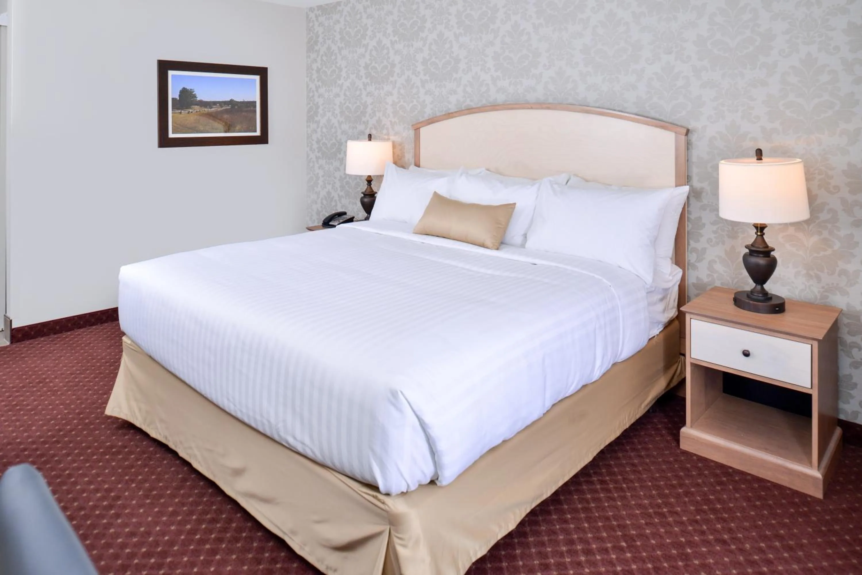 King Room - single occupancy - Disability Access in Appomattox Inn and Suites